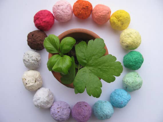BULK Wildflower Seed Balls