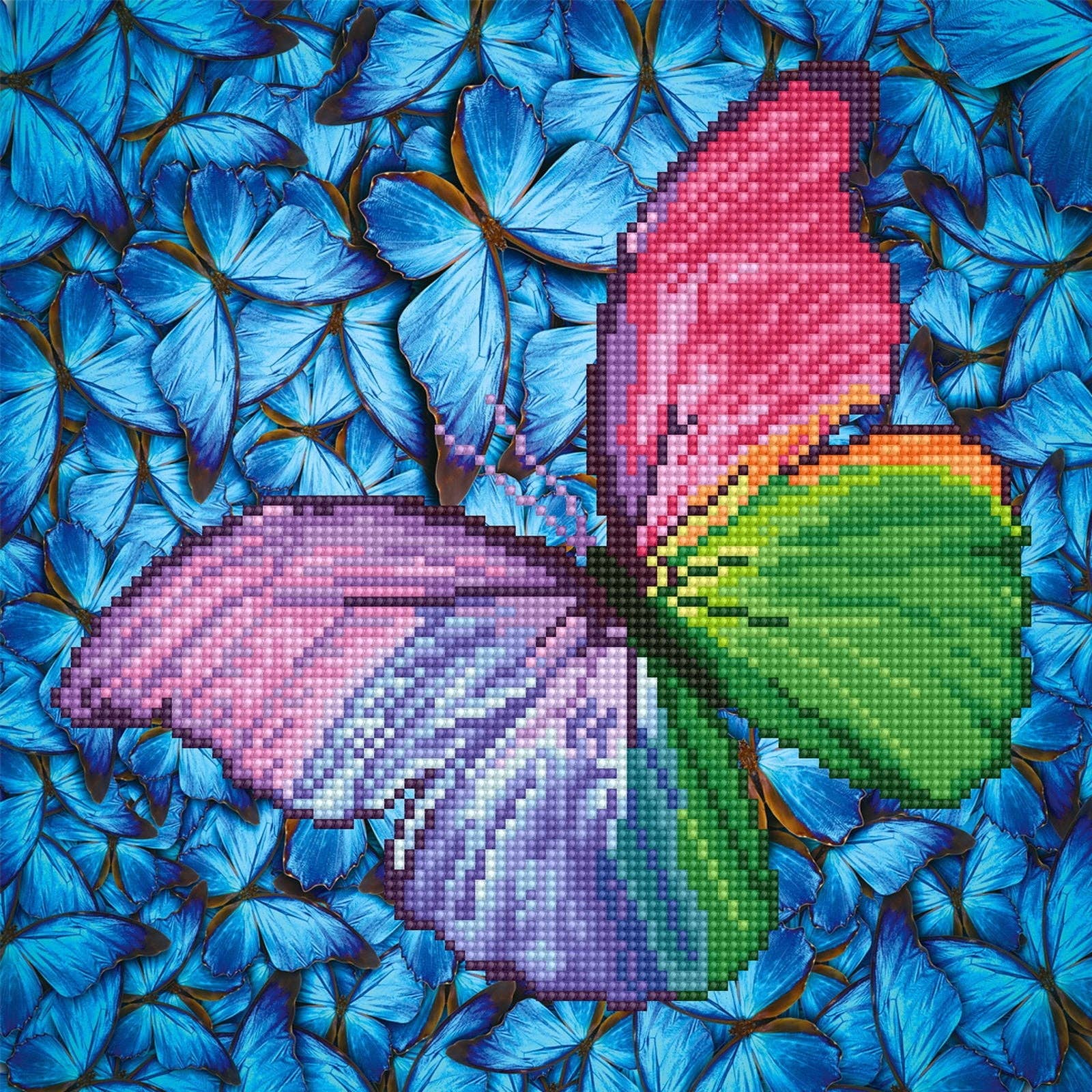 Flutter by Pink Pre-Framed Kit