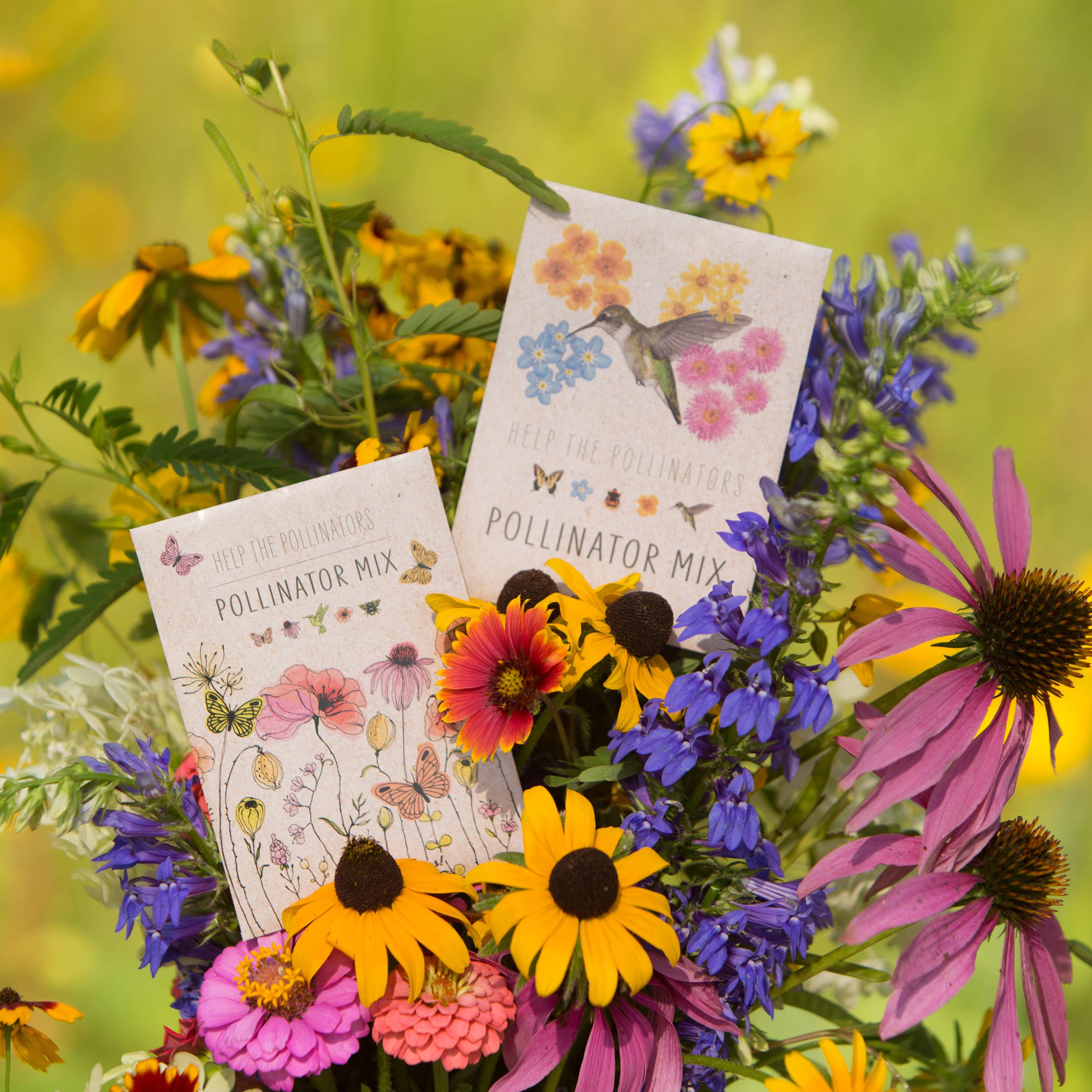 2208. Pollinator Hummingbird - Wildflower Mix Seed Packets