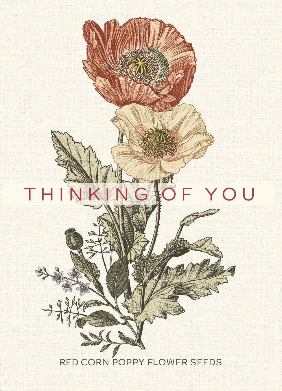 2206. Thinking of You Classic Vintage Art - Corn Poppy Seed Packets