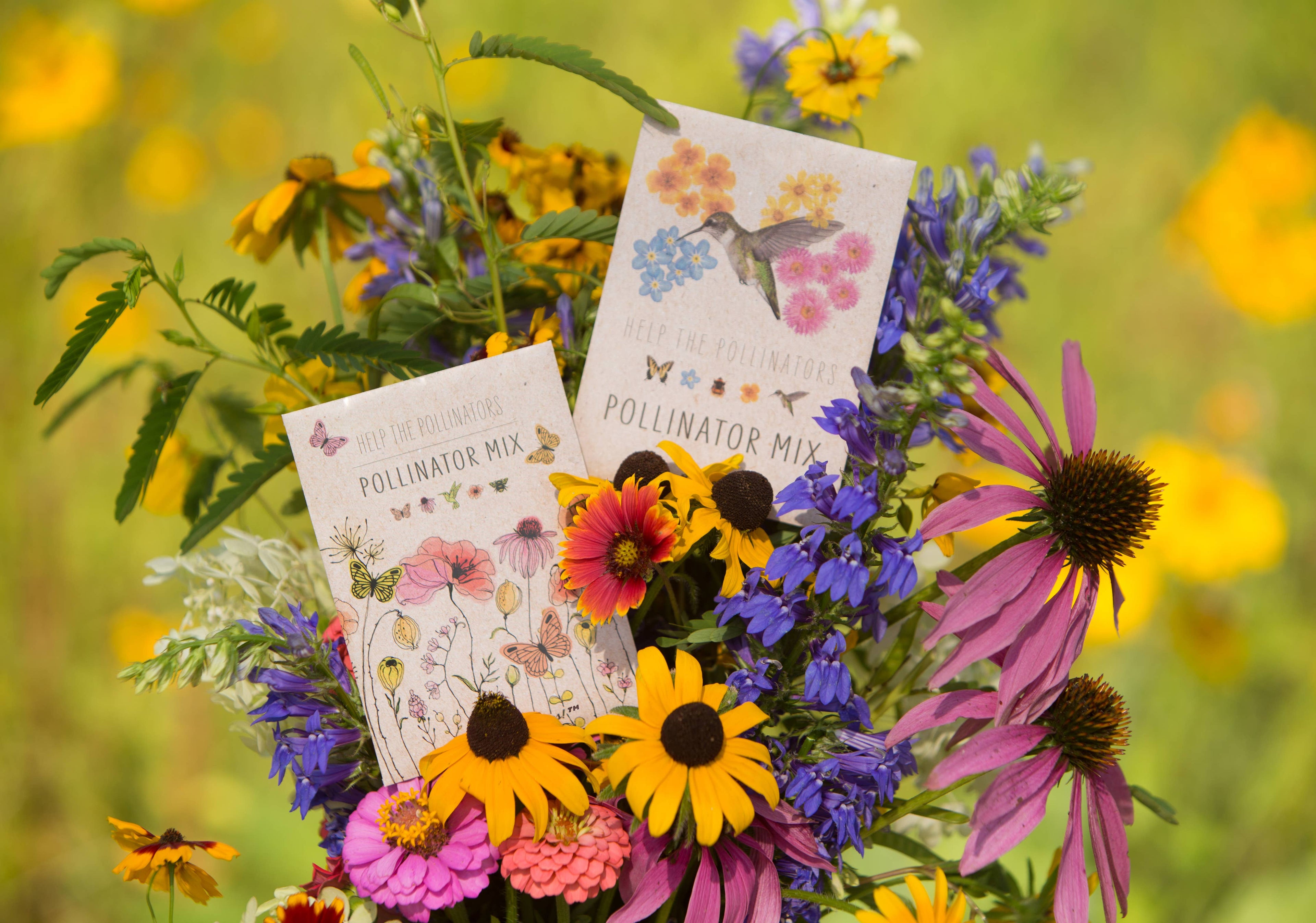2216. Pollinator Butterfly - Wildflower Mix Seed Packets