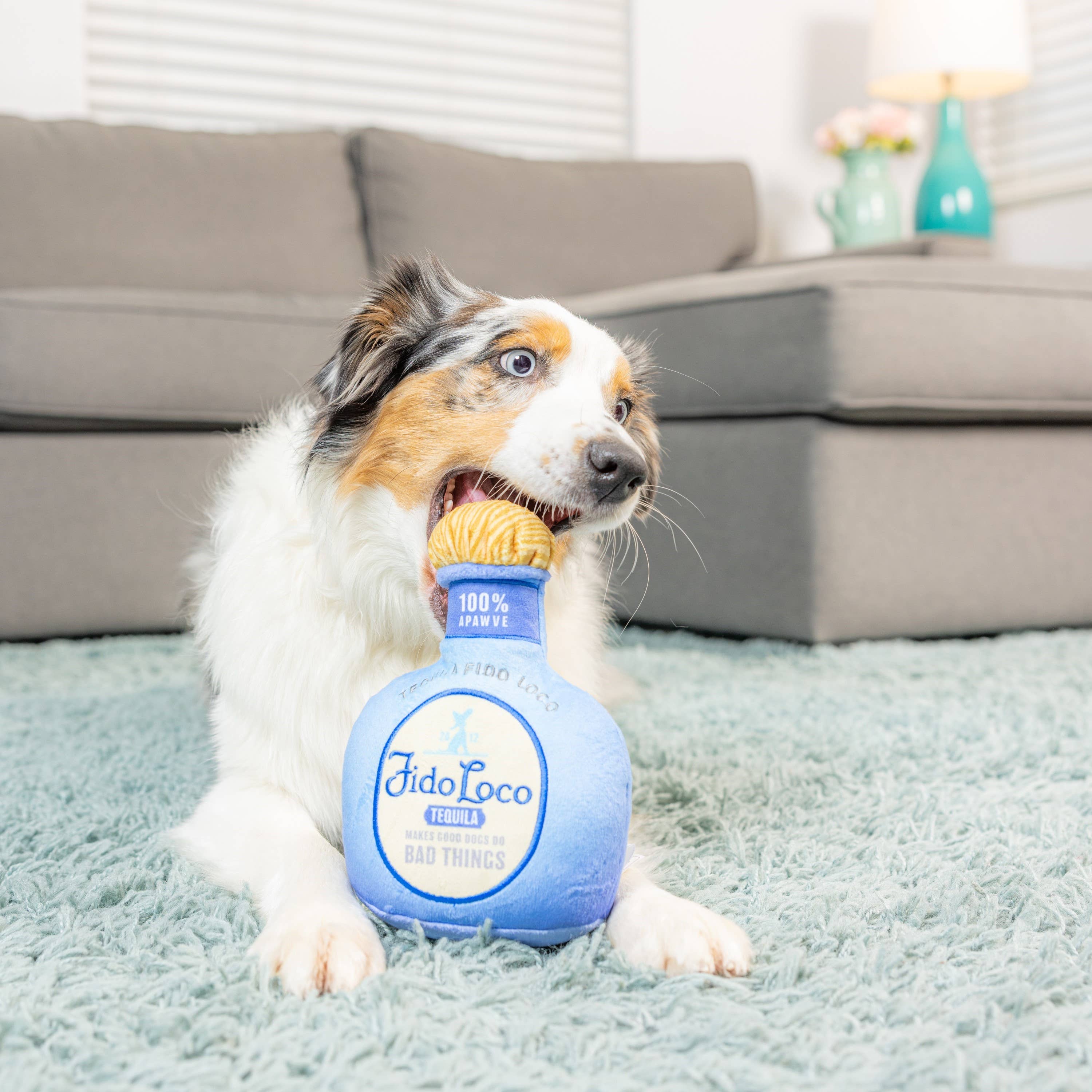 7515. Fido Loco Tequila Dog Toy