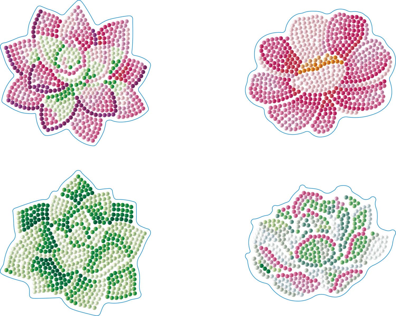Coasters - Succulents