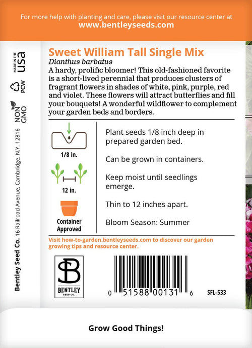 2203. Sweet William-Tall Single Mix-Dianthus Barbatus