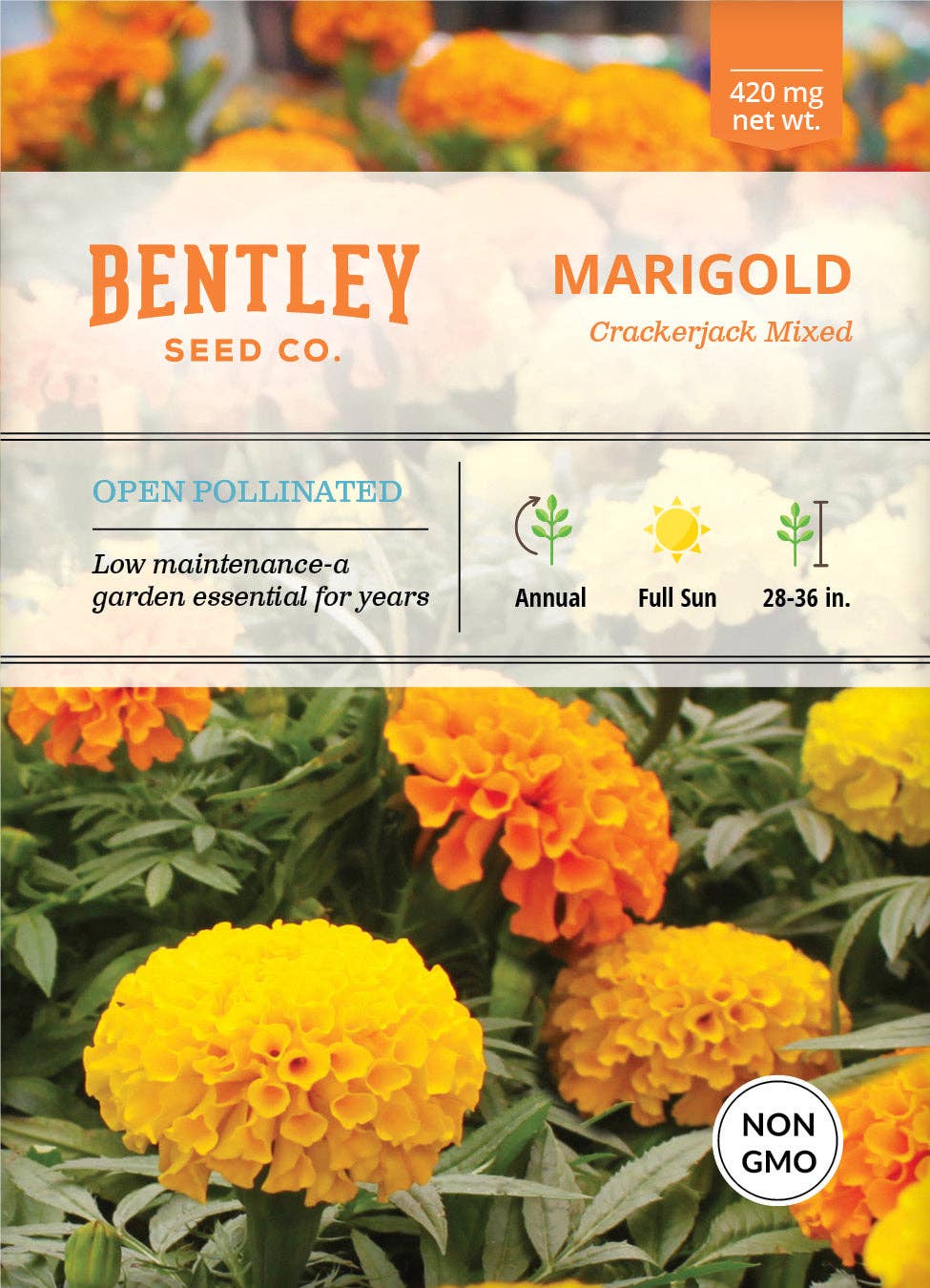 2205. Marigold, Crackerjack Mixed Colors Seed Packets
