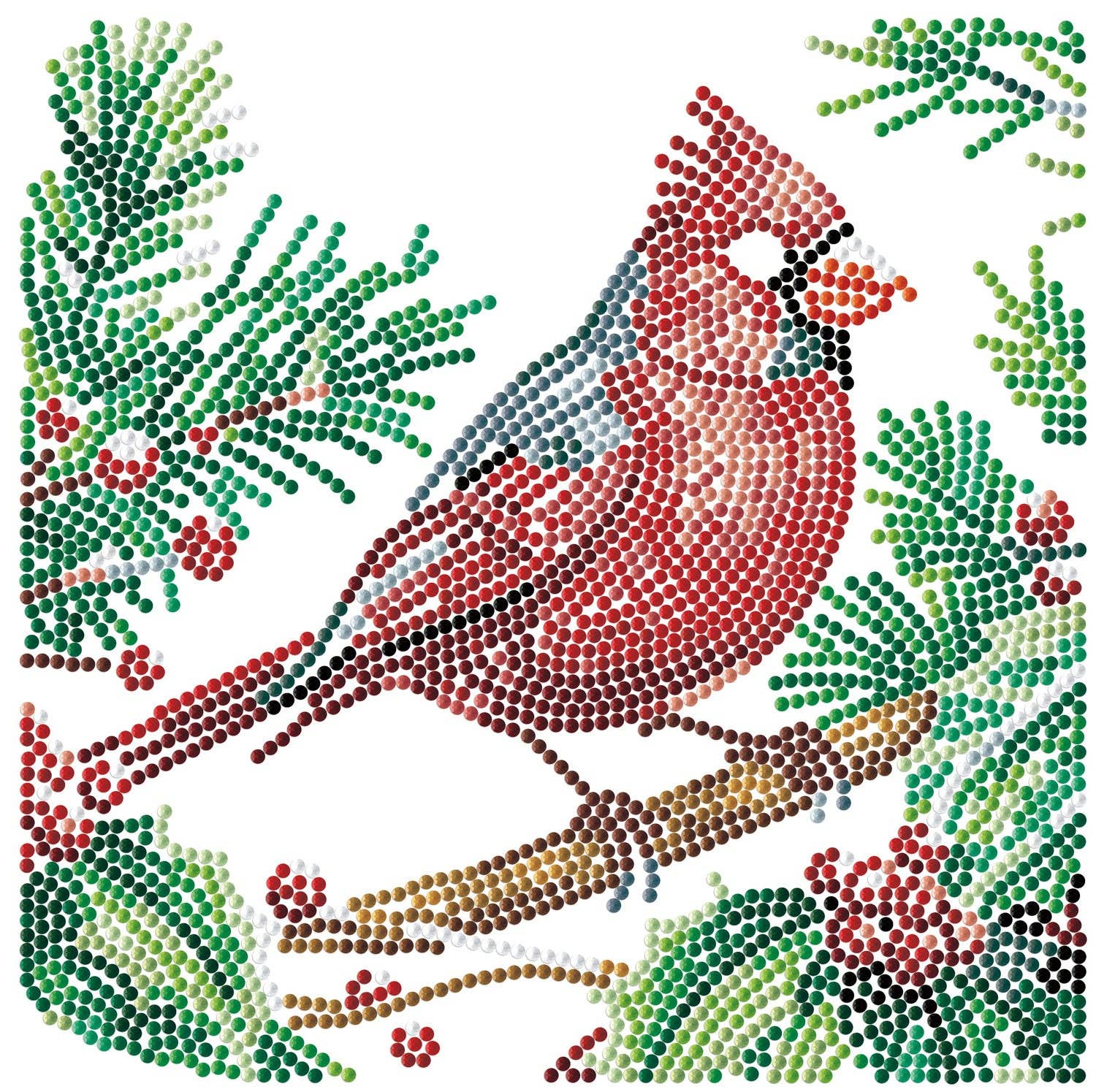 Dotz Box Cardinal and Holly