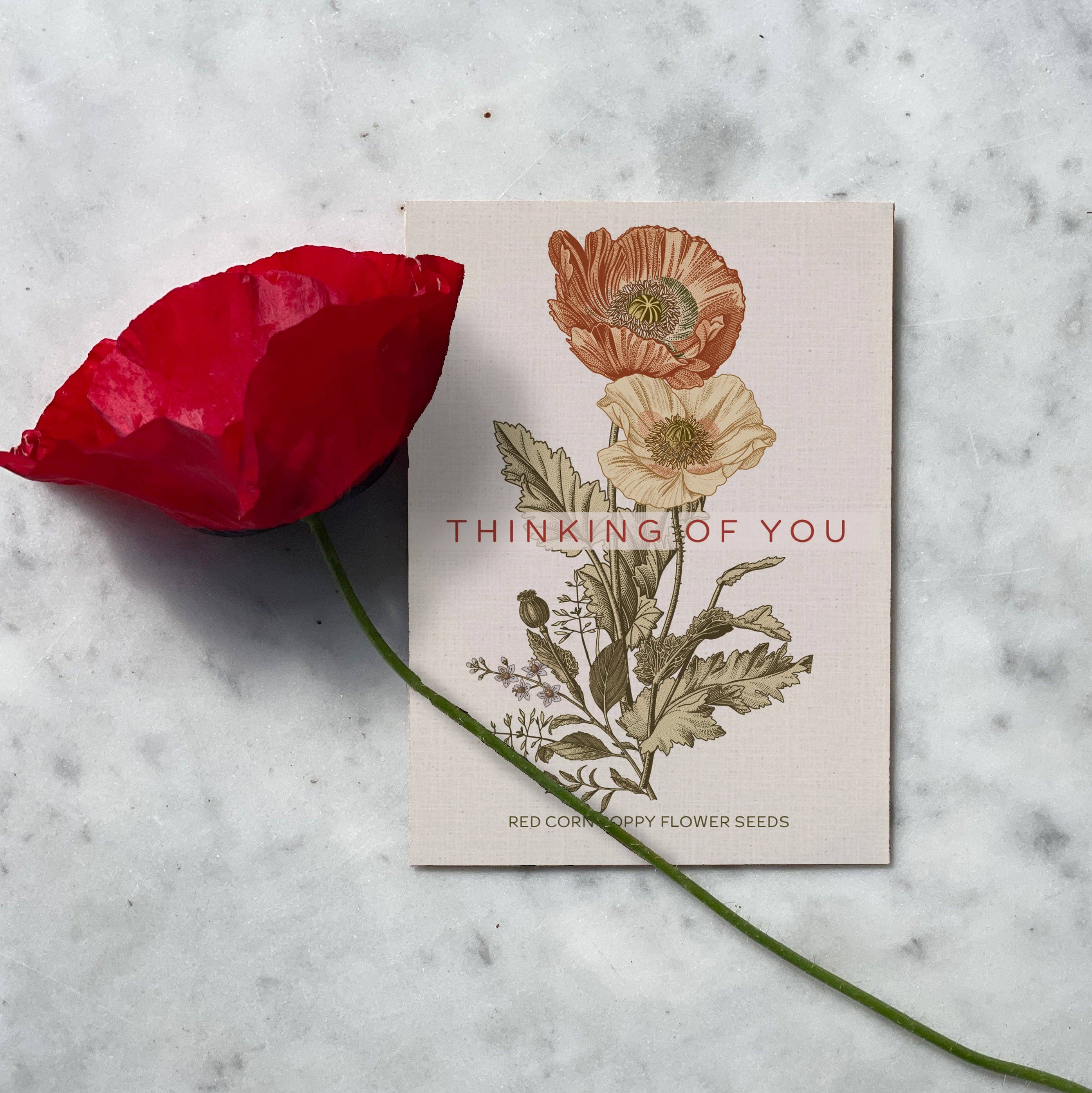 2206. Thinking of You Classic Vintage Art - Corn Poppy Seed Packets
