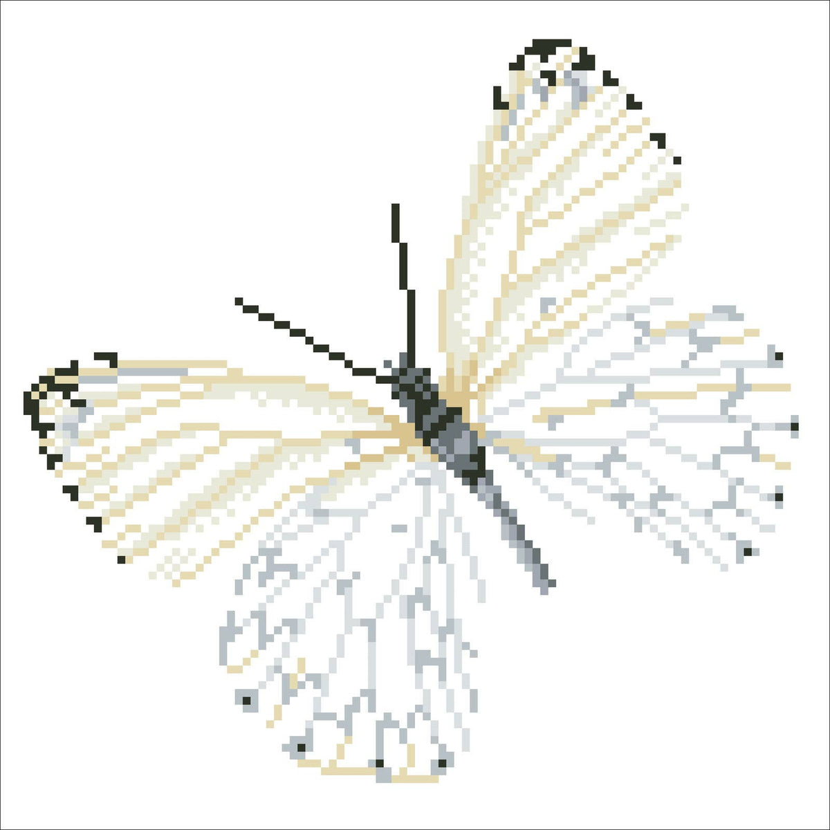 Flutter by White