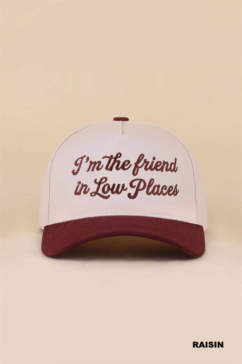 I'm The Friend In Low Places Two Tone Snapback Hat