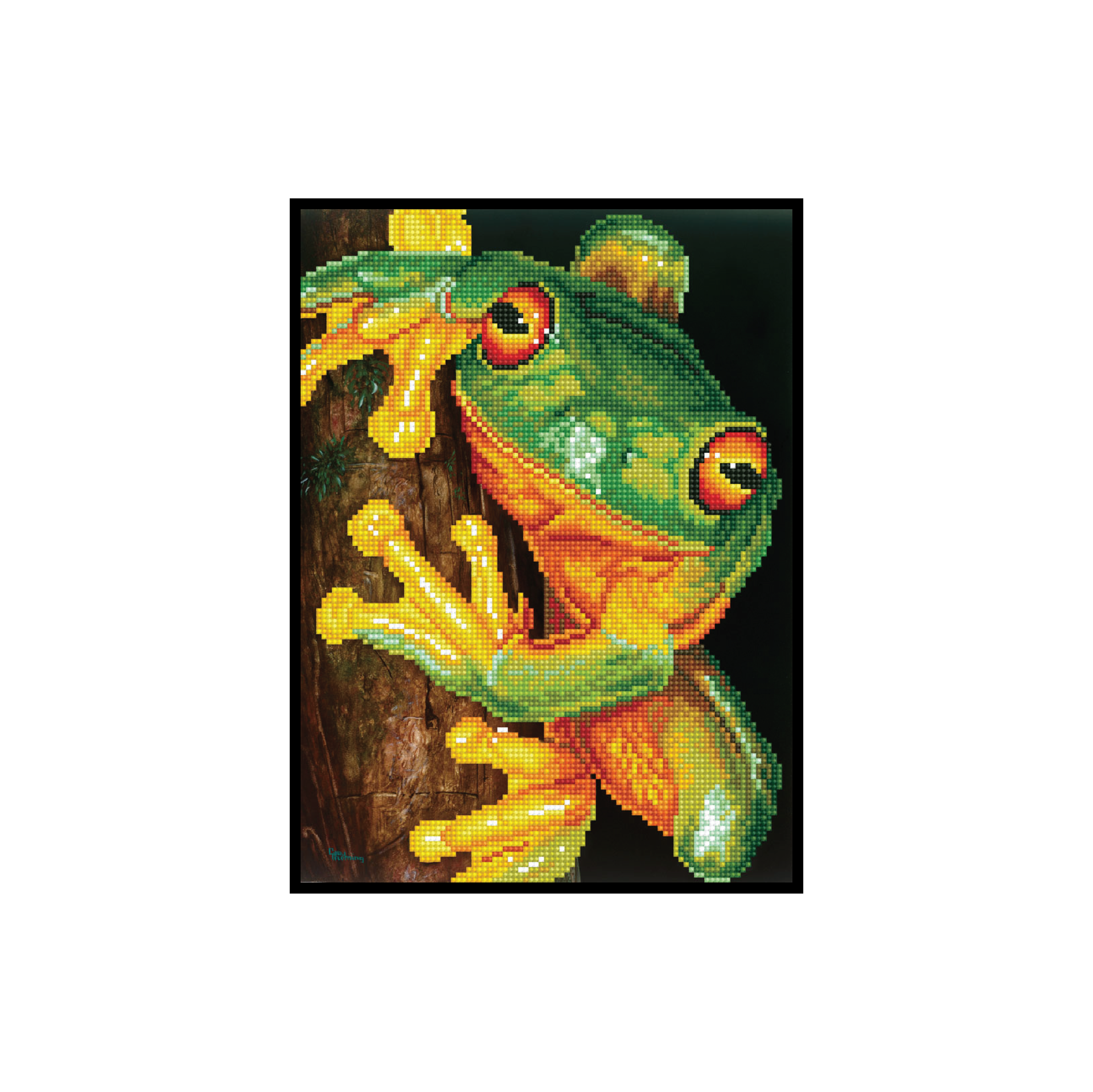 Green Tree Frog Pre-Framed Kit - 10.6" x 14.6"