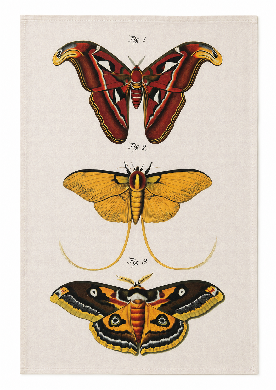 SLT112 - Tea Towel Vintage Moth