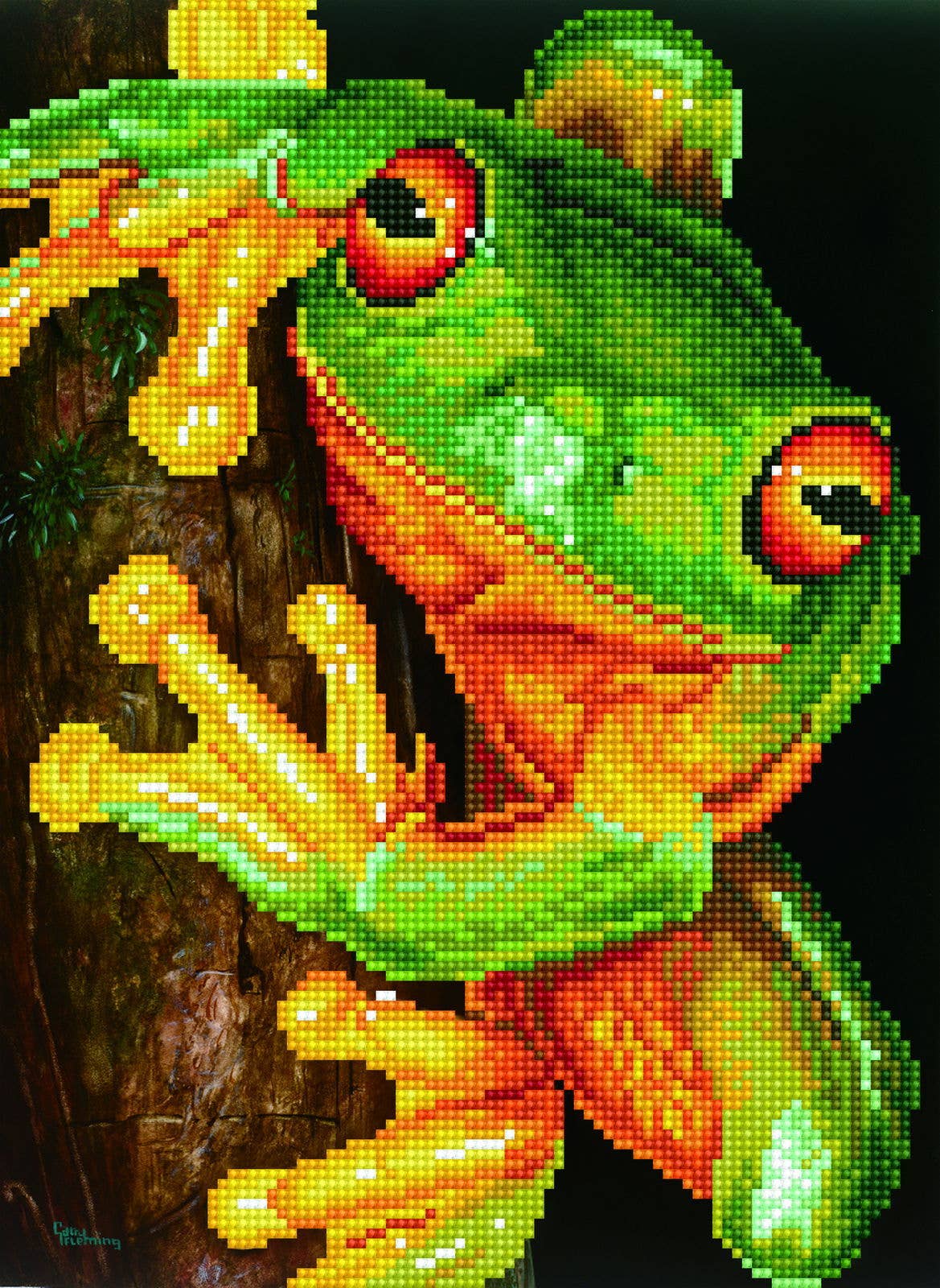 Green Tree Frog Pre-Framed Kit - 10.6" x 14.6"