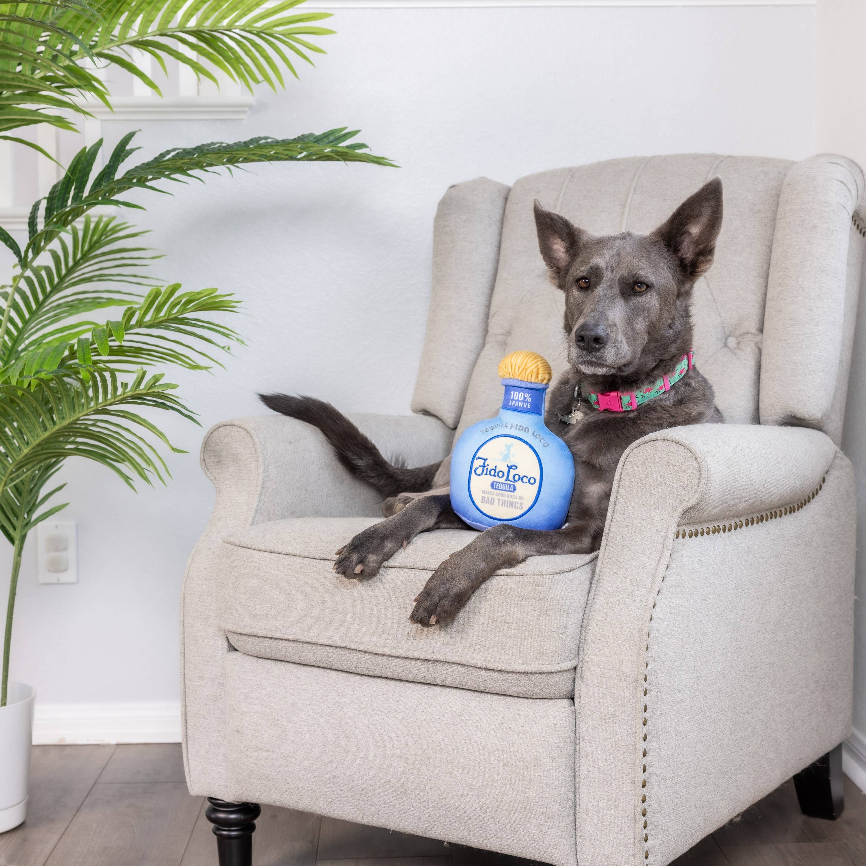7515. Fido Loco Tequila Dog Toy