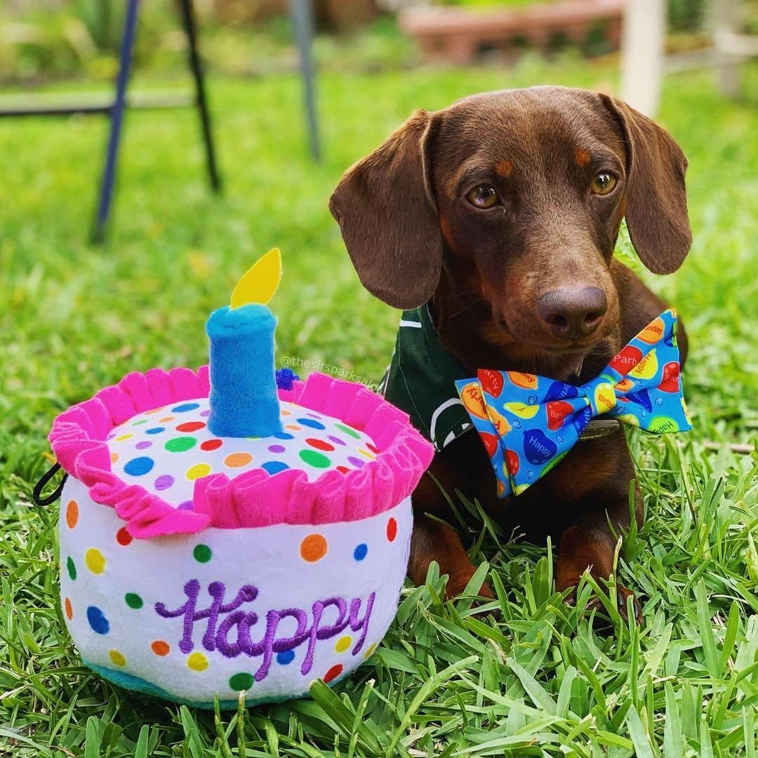 7504. Happy Barkday Cake Dog Toy