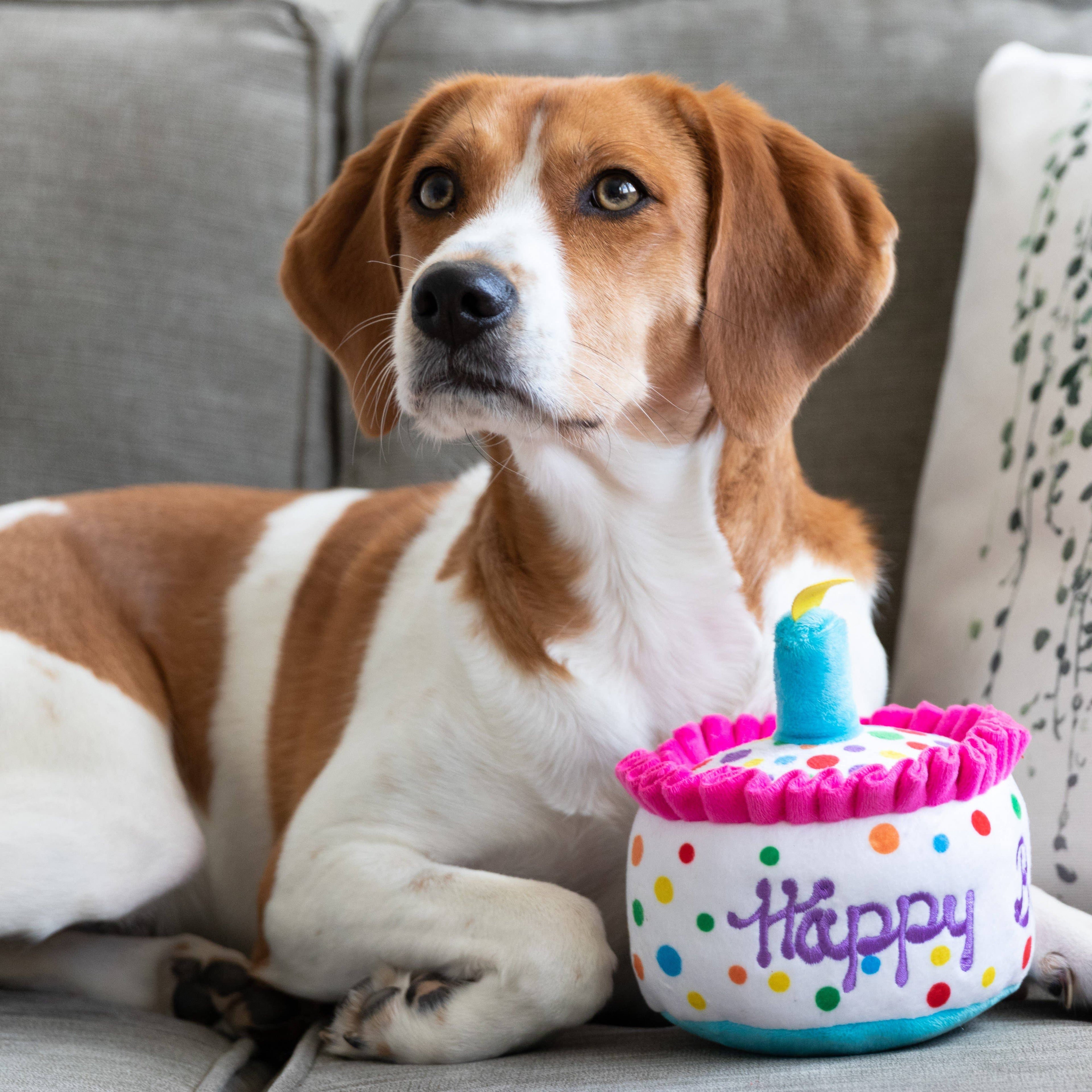 7504. Happy Barkday Cake Dog Toy