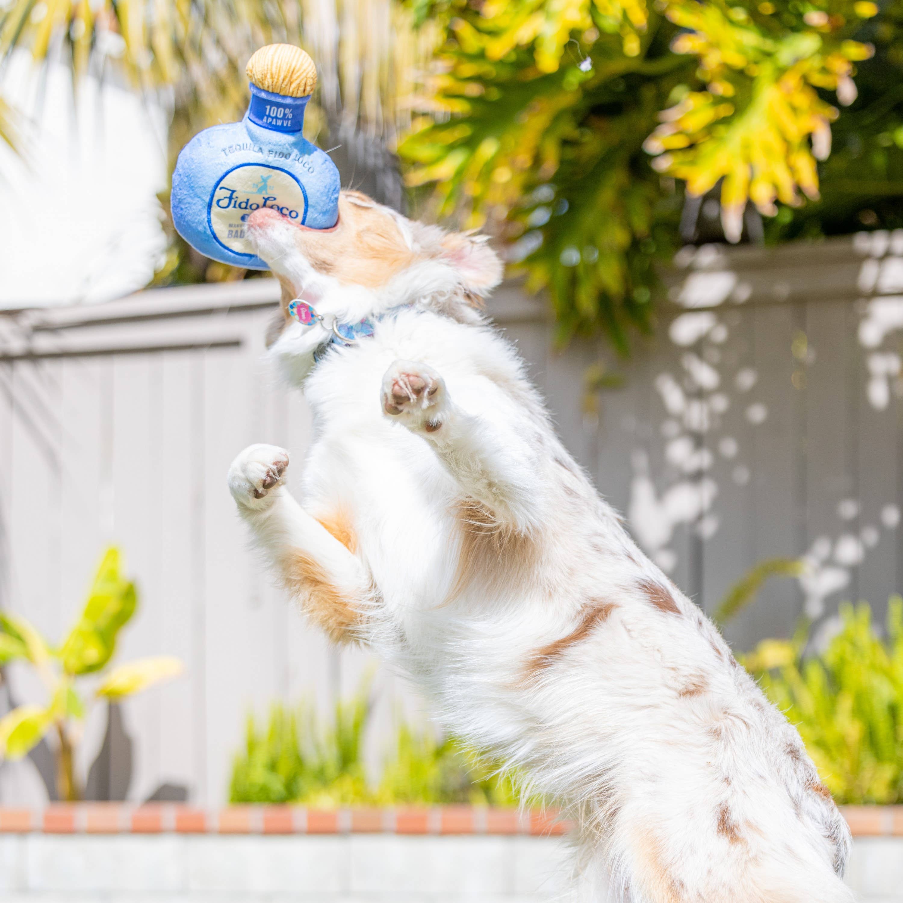 7515. Fido Loco Tequila Dog Toy