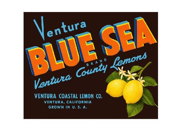 Vintage Style Metal Wall Sign - Lemons & Blue Sea