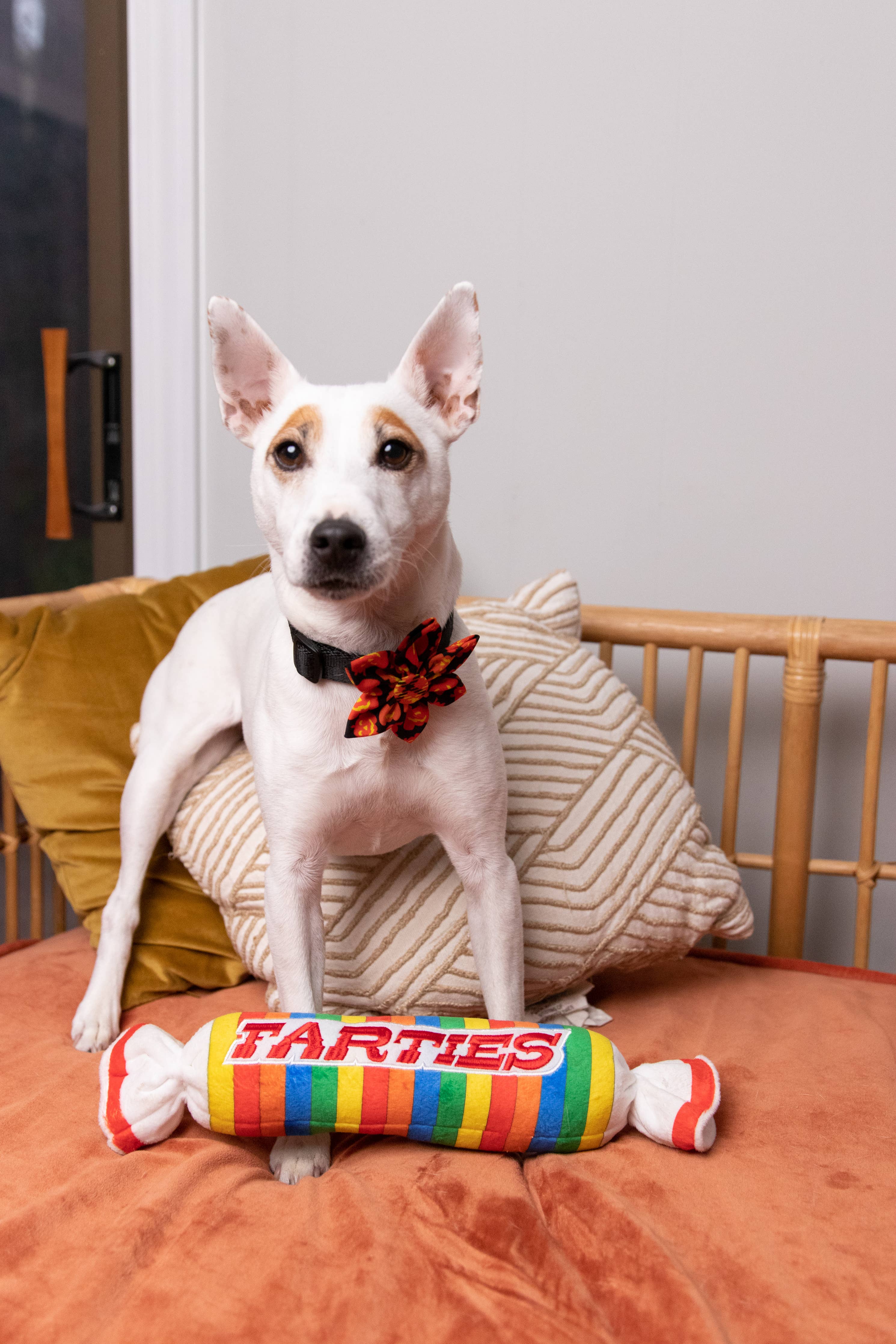 7510. Farties Dog Toy