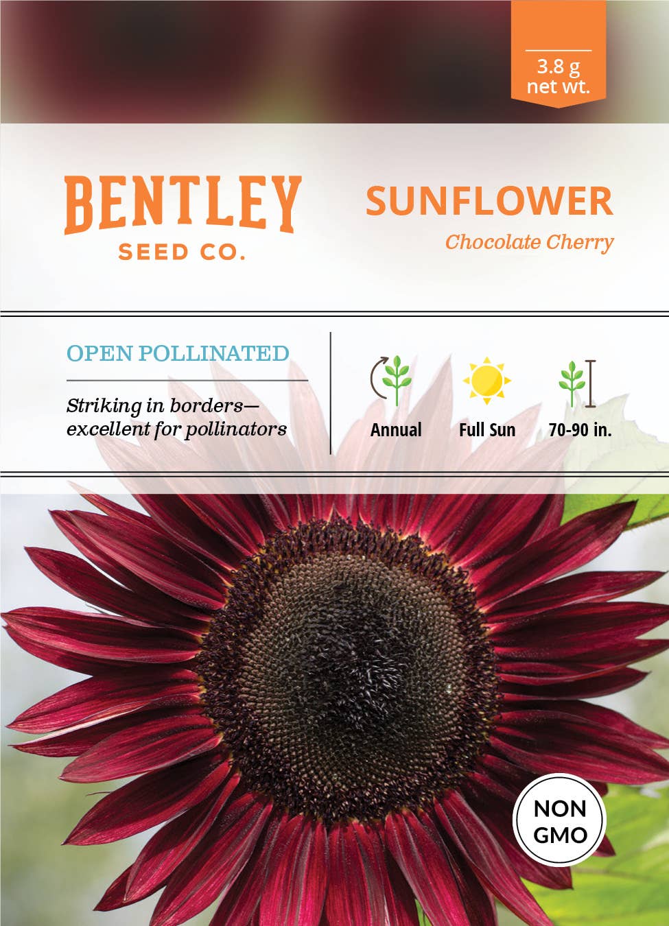 2209. Sunflower, Chocolate Cherry Seed Packets
