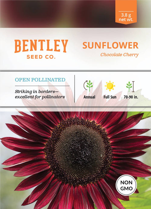 2209. Sunflower, Chocolate Cherry Seed Packets