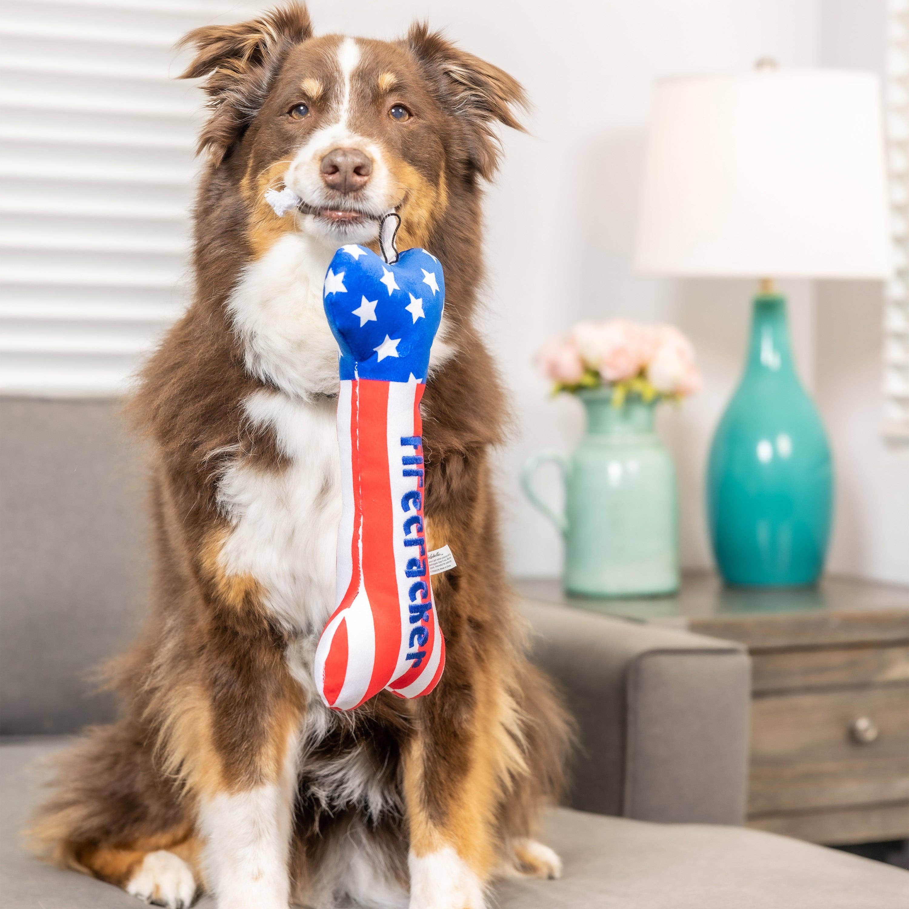 7505. Lil' Firecracker Bone Dog Toy