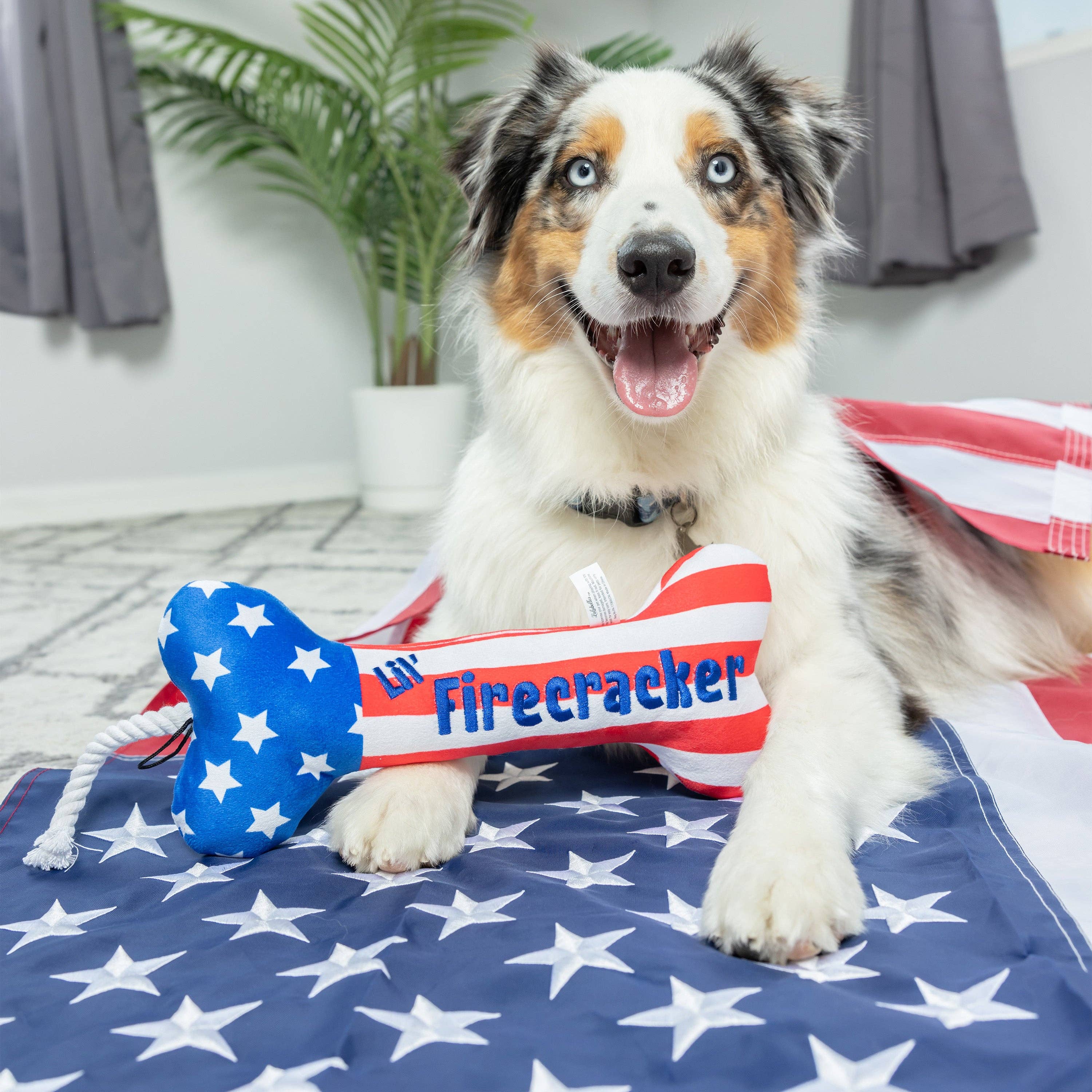 7505. Lil' Firecracker Bone Dog Toy
