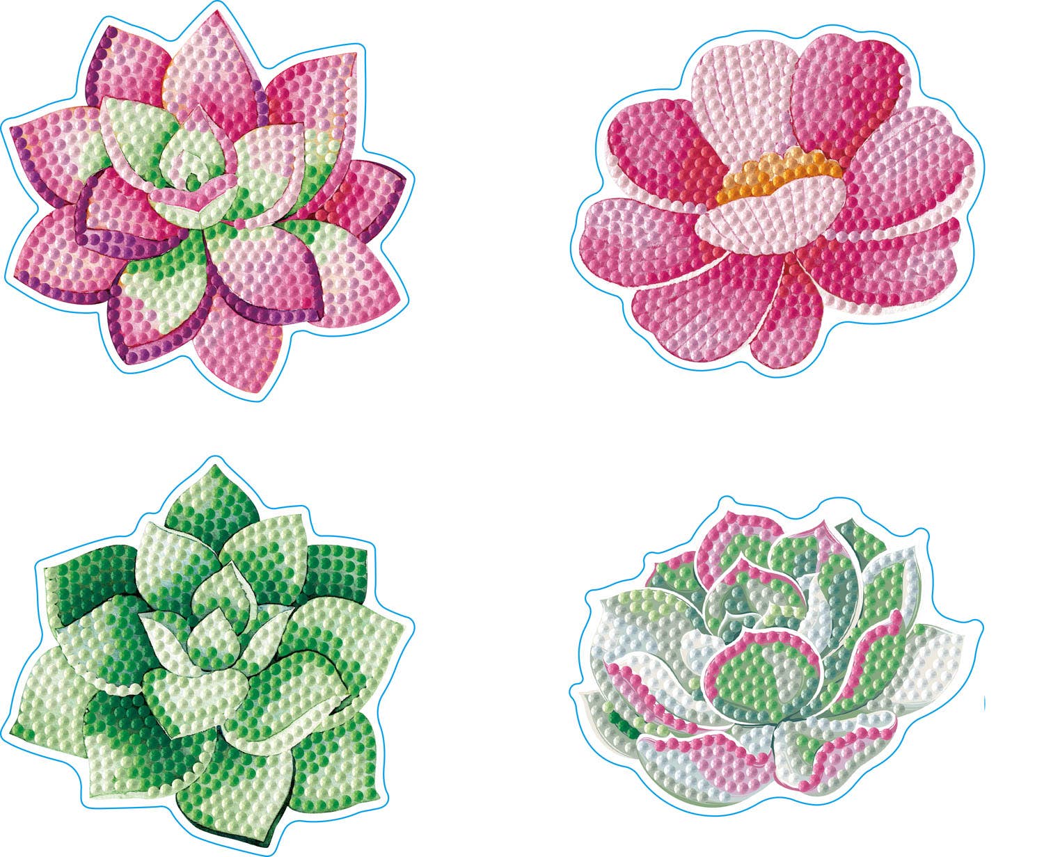 Coasters - Succulents