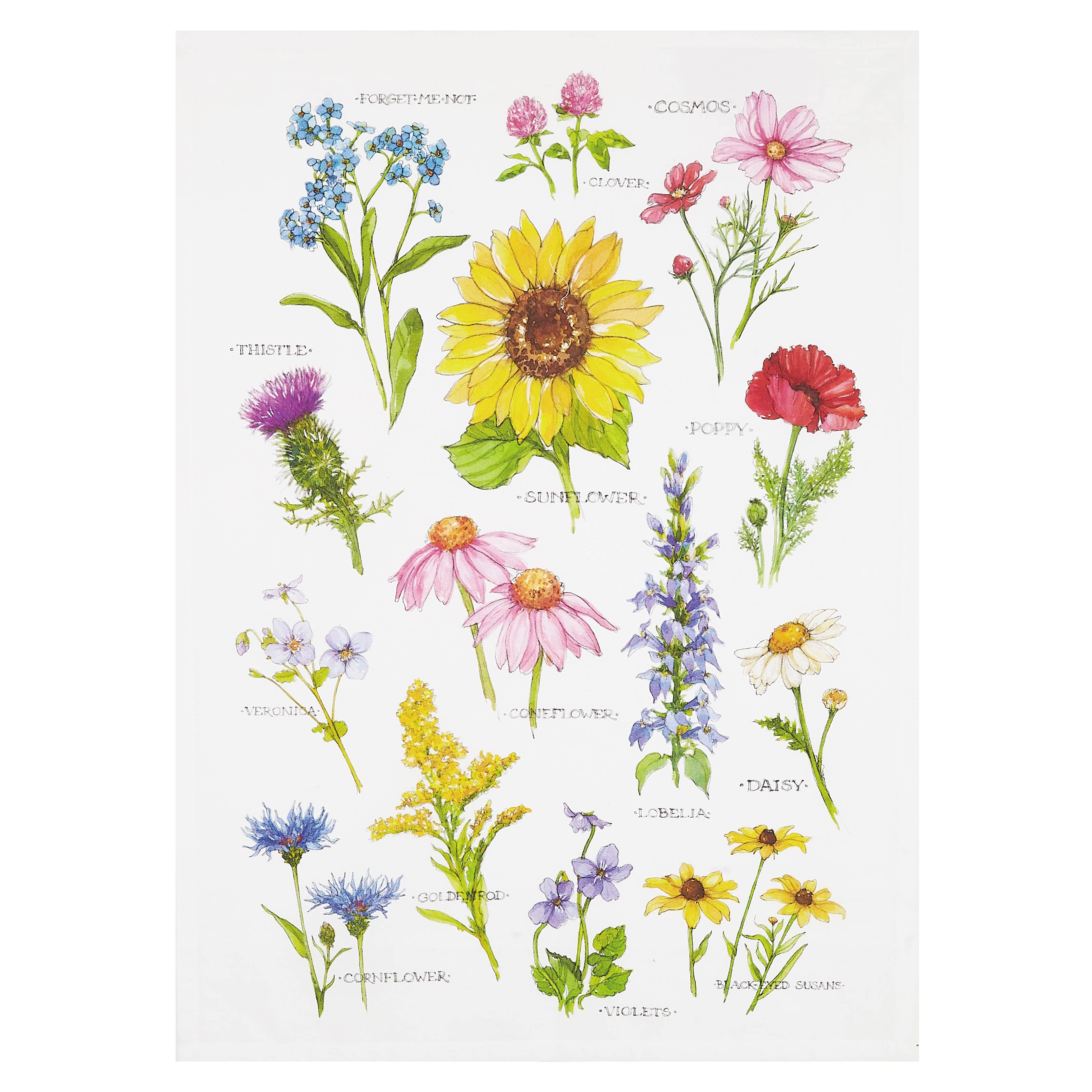 7656. Field Guide Wildflower Printed Kitchen Towel - Sally Eckman Roberts