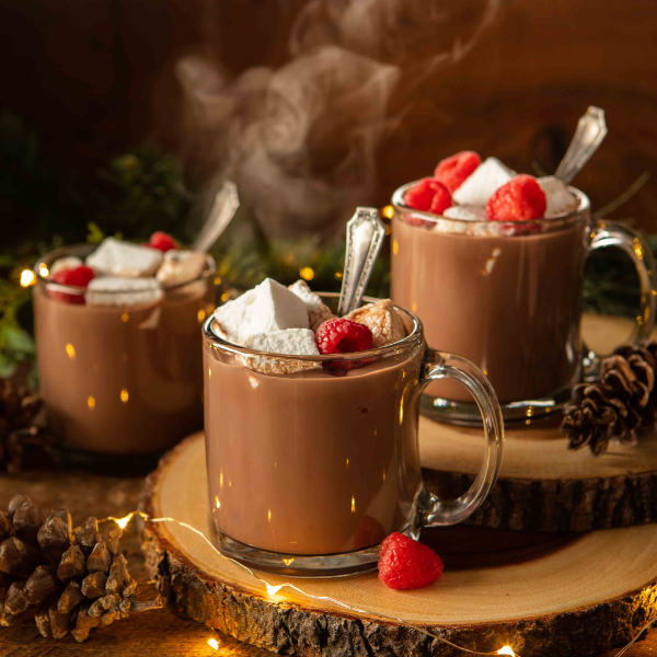 Wind & Willow Hot Cocoa Mix - Individual Package