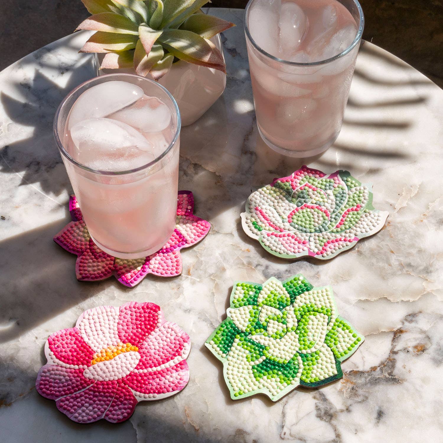Coasters - Succulents