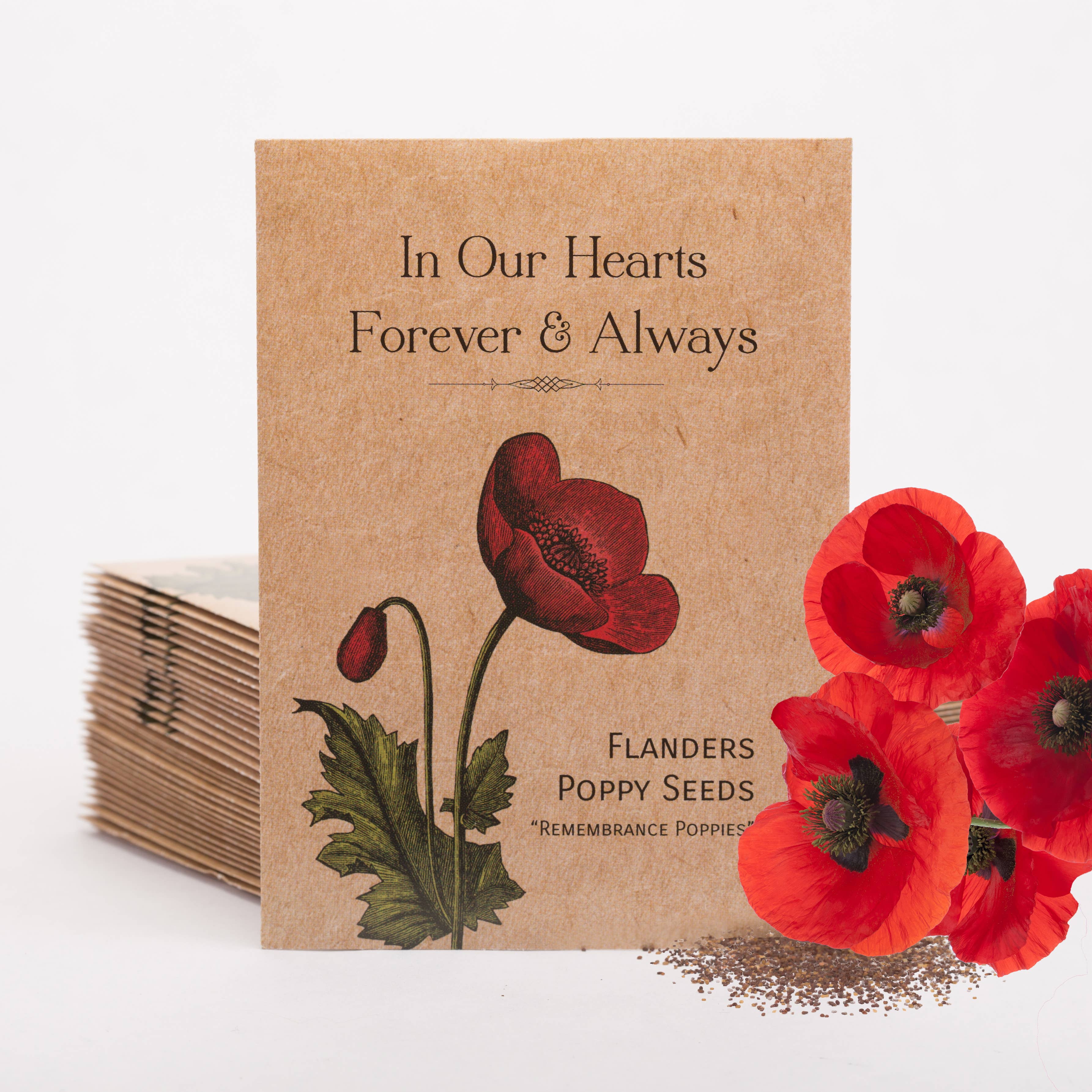 2215. In Our Hearts Remembrance Memorial - Flanders Poppy