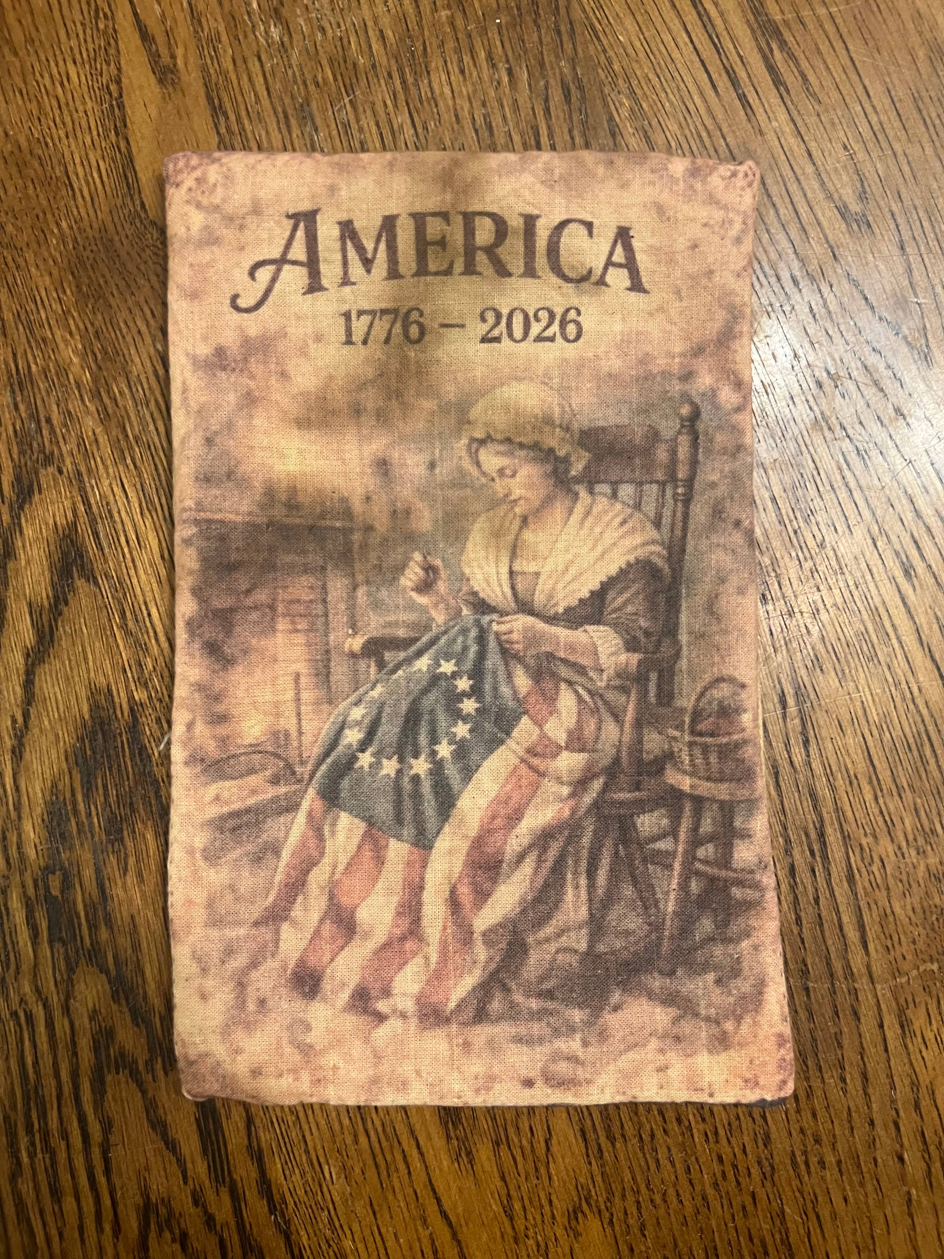 6360. Primitive handmade Printed Americana 5x7" stuffed pillows