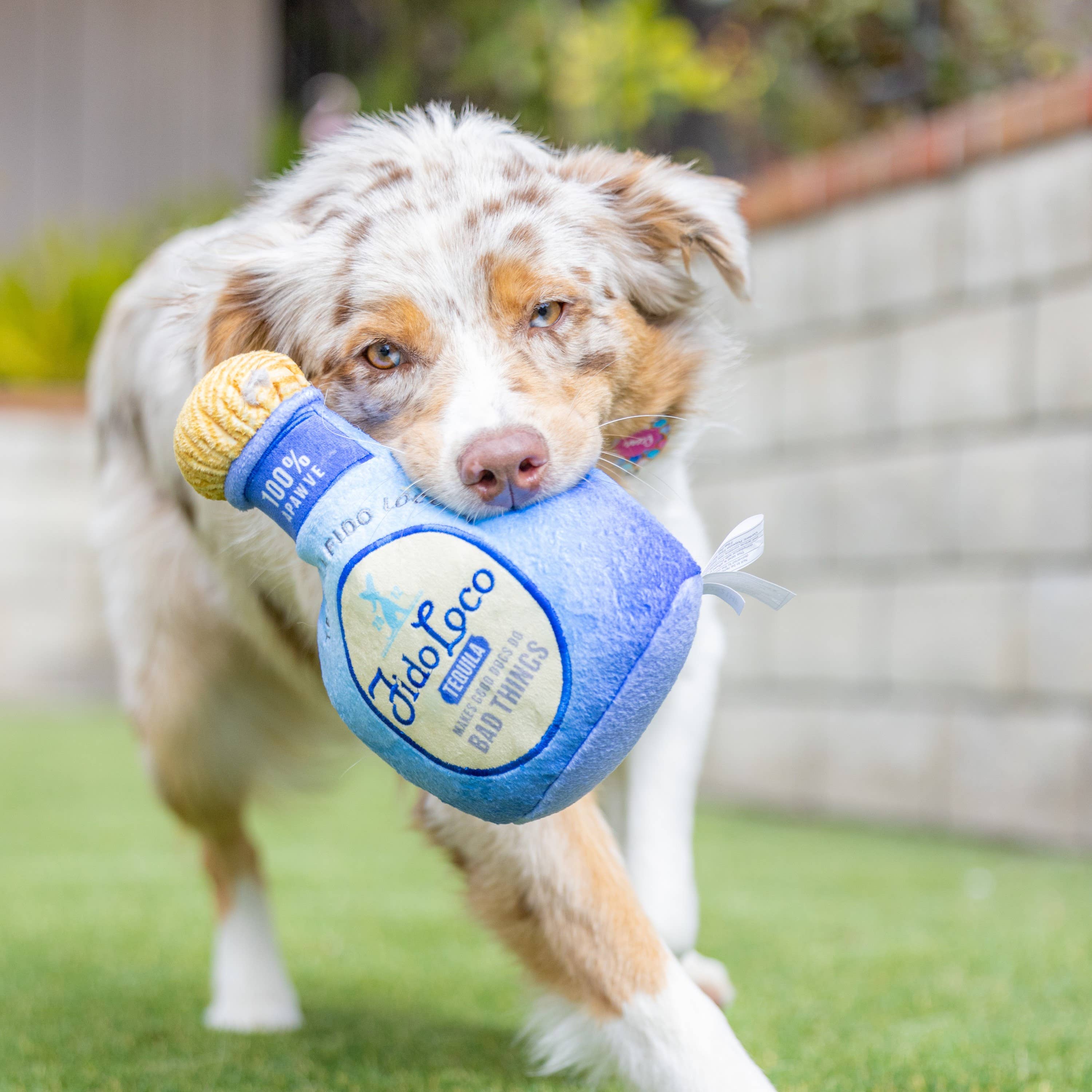 7515. Fido Loco Tequila Dog Toy