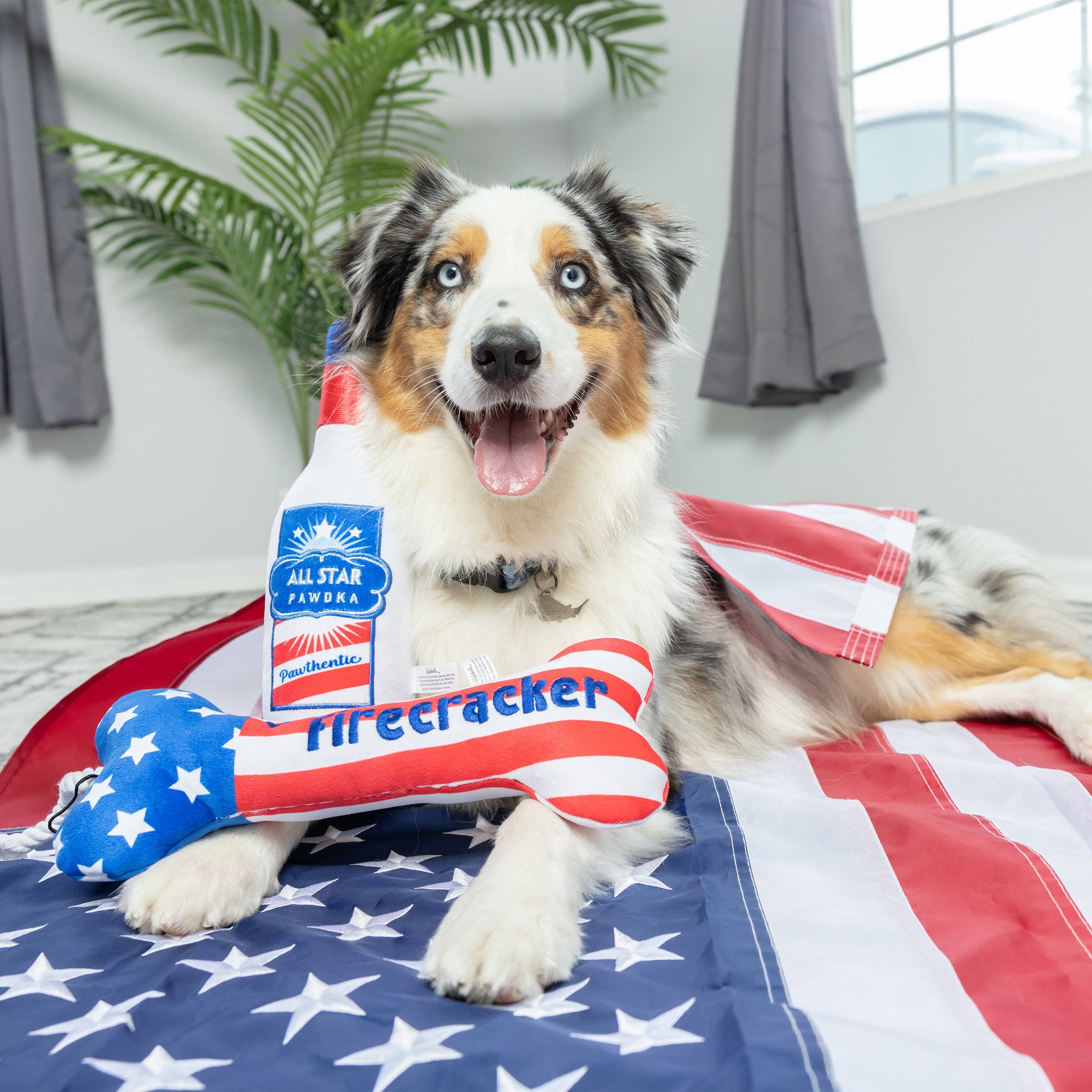 7505. Lil' Firecracker Bone Dog Toy