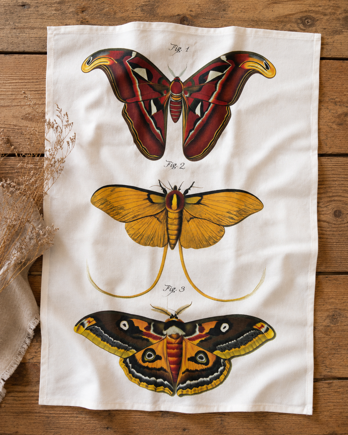 SLT112 - Tea Towel Vintage Moth