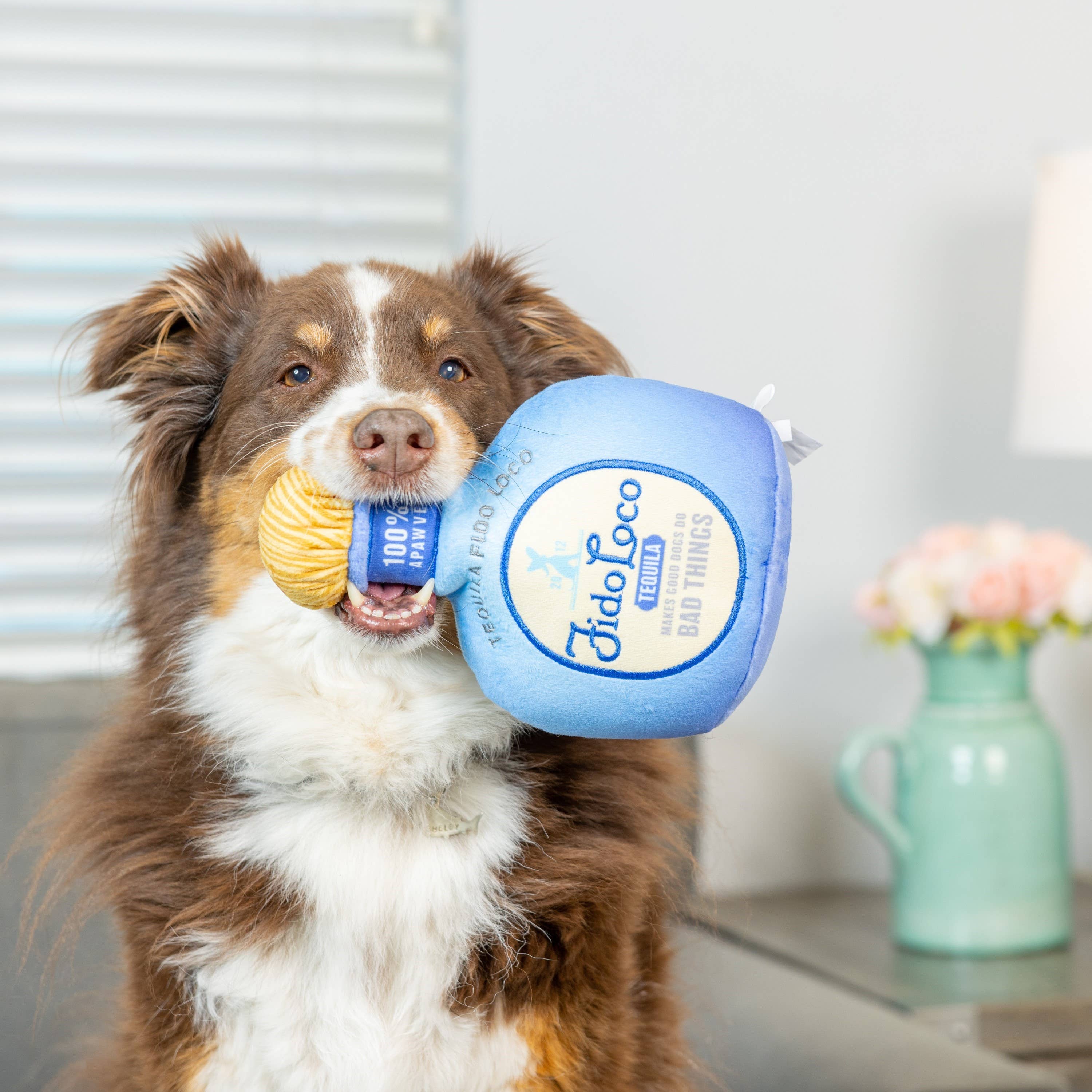 7515. Fido Loco Tequila Dog Toy