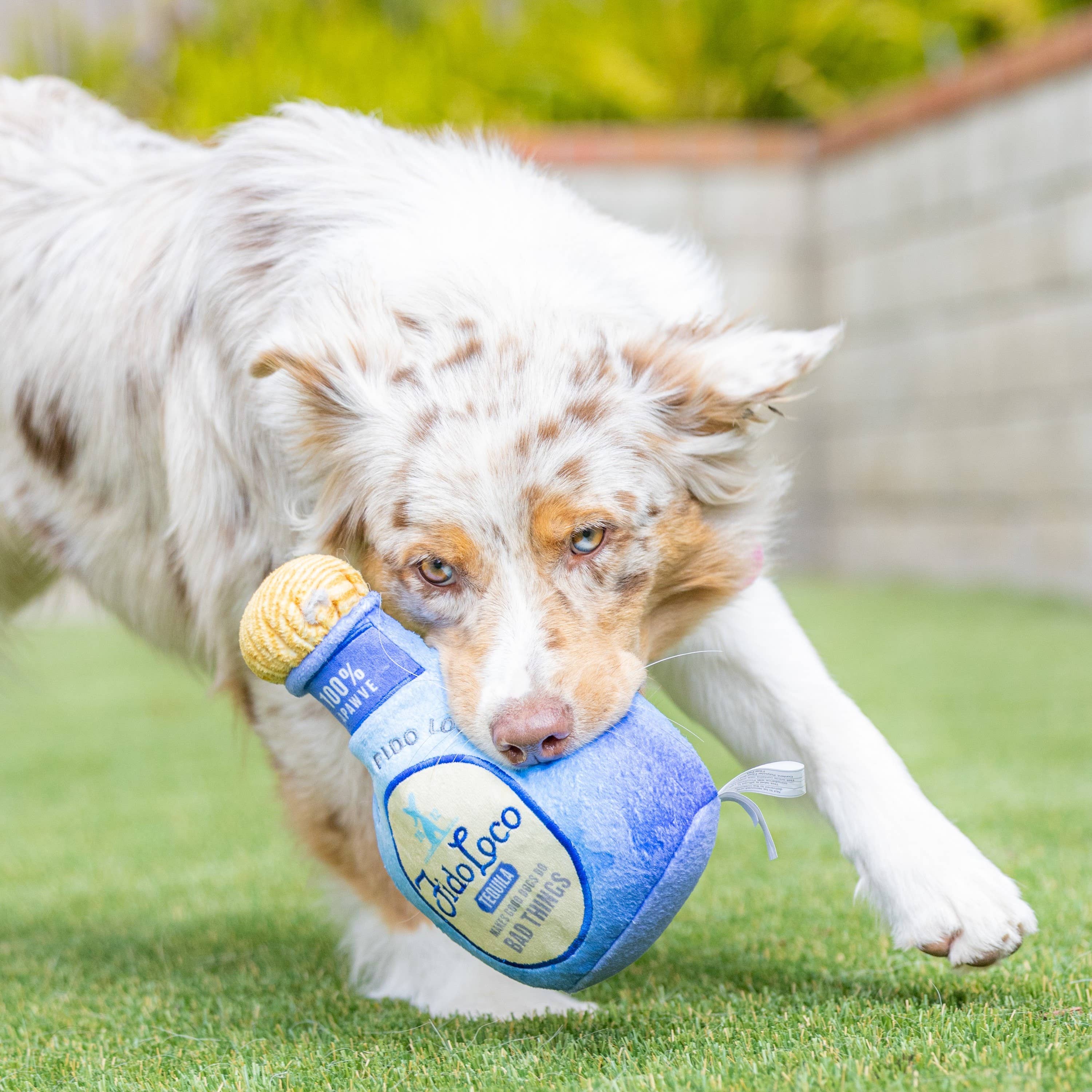 7515. Fido Loco Tequila Dog Toy