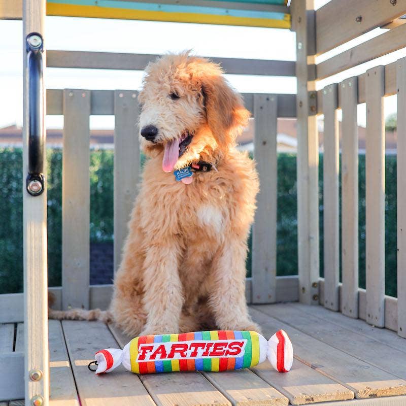 7510. Farties Dog Toy