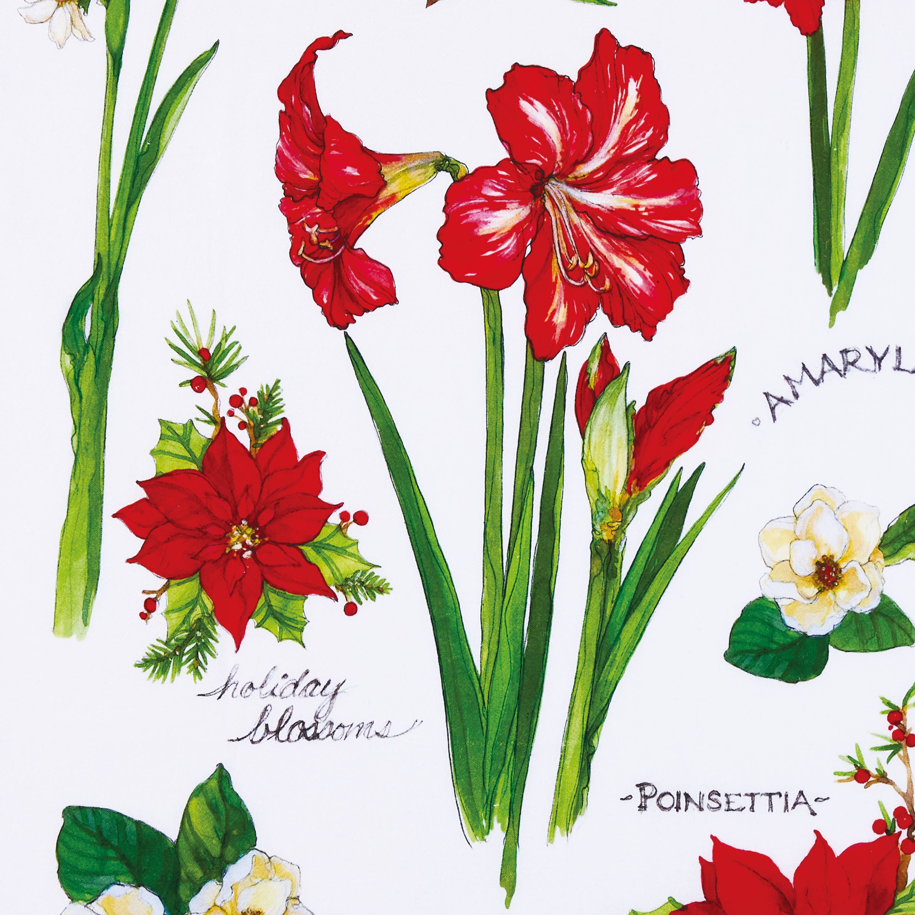 7652. Field Guide Holiday Blossoms Kitchen Towel - Sally Eckman Roberts