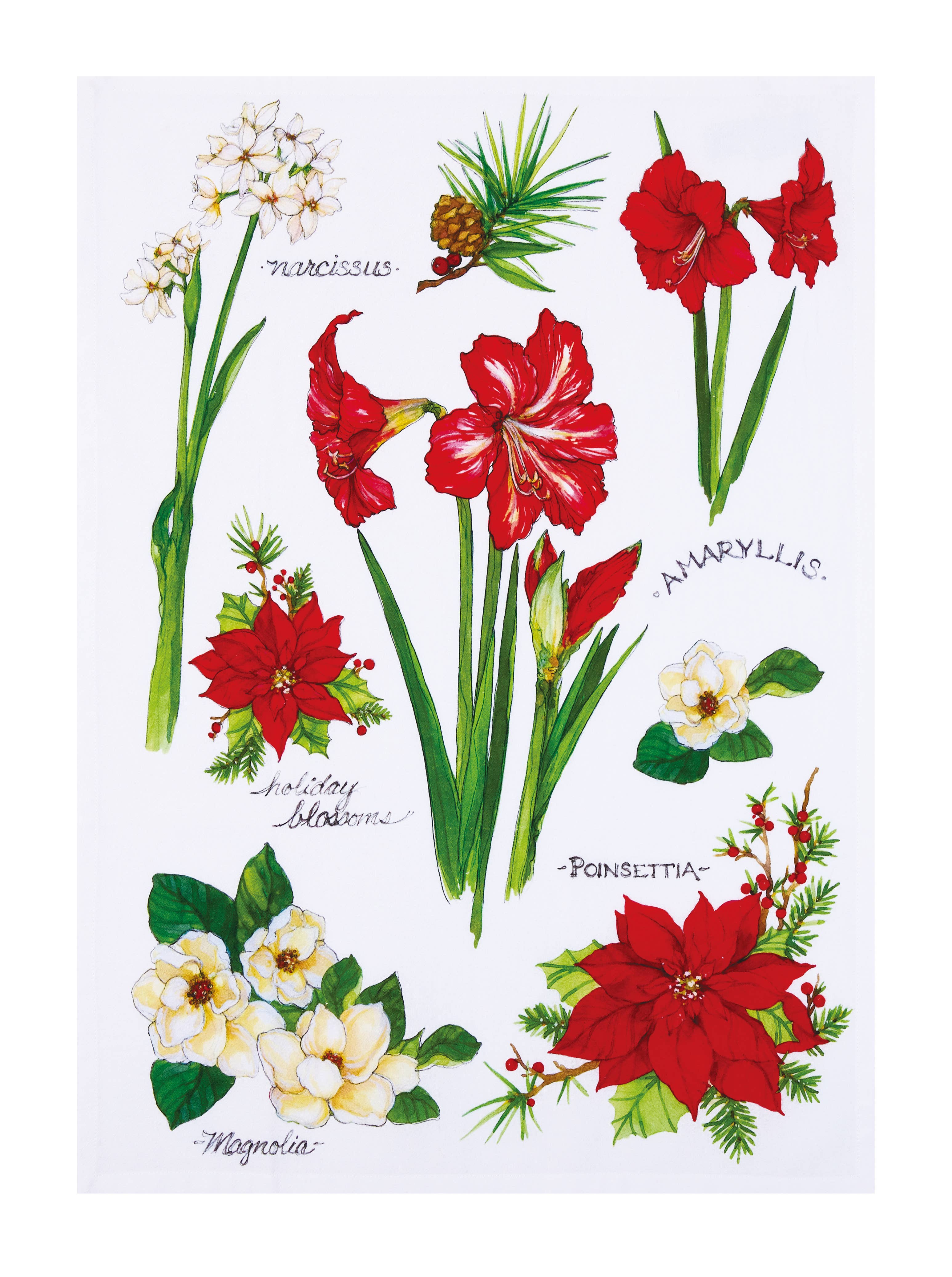 7652. Field Guide Holiday Blossoms Kitchen Towel - Sally Eckman Roberts