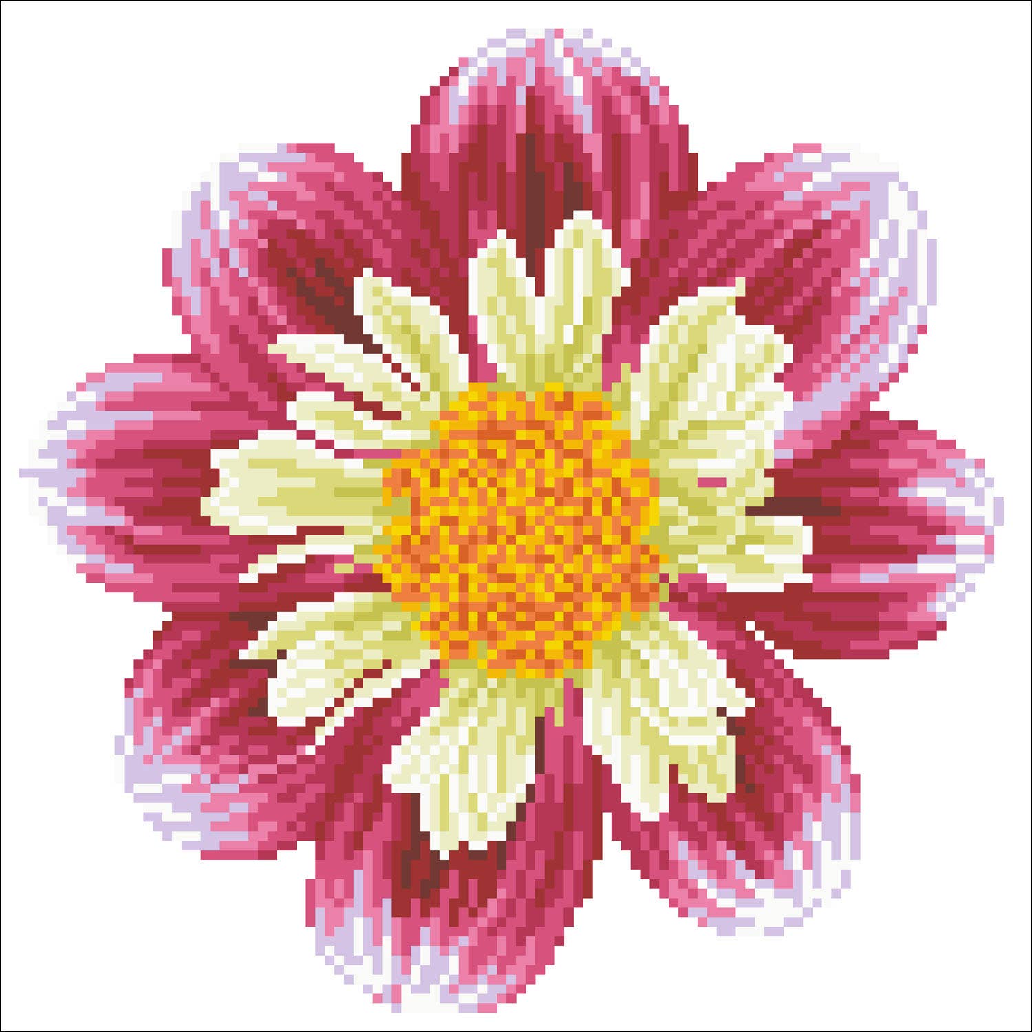 Daisy-a-day