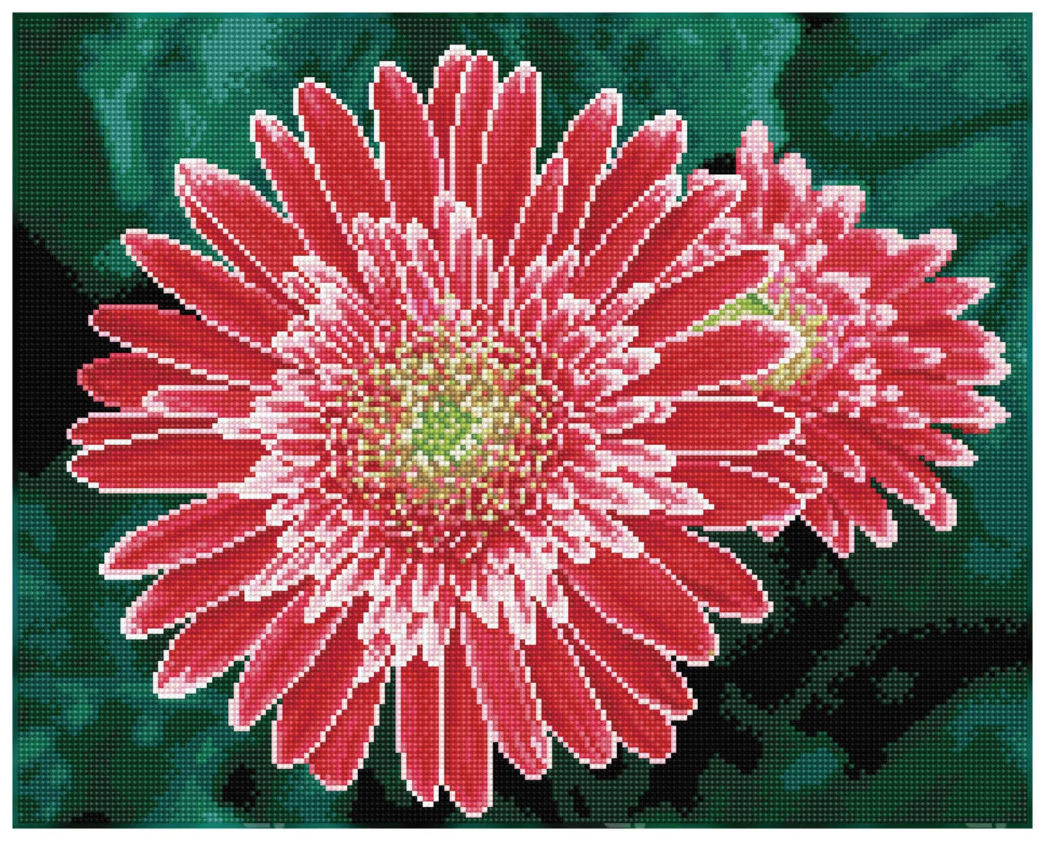 Pink Gerberas (Framed Square)