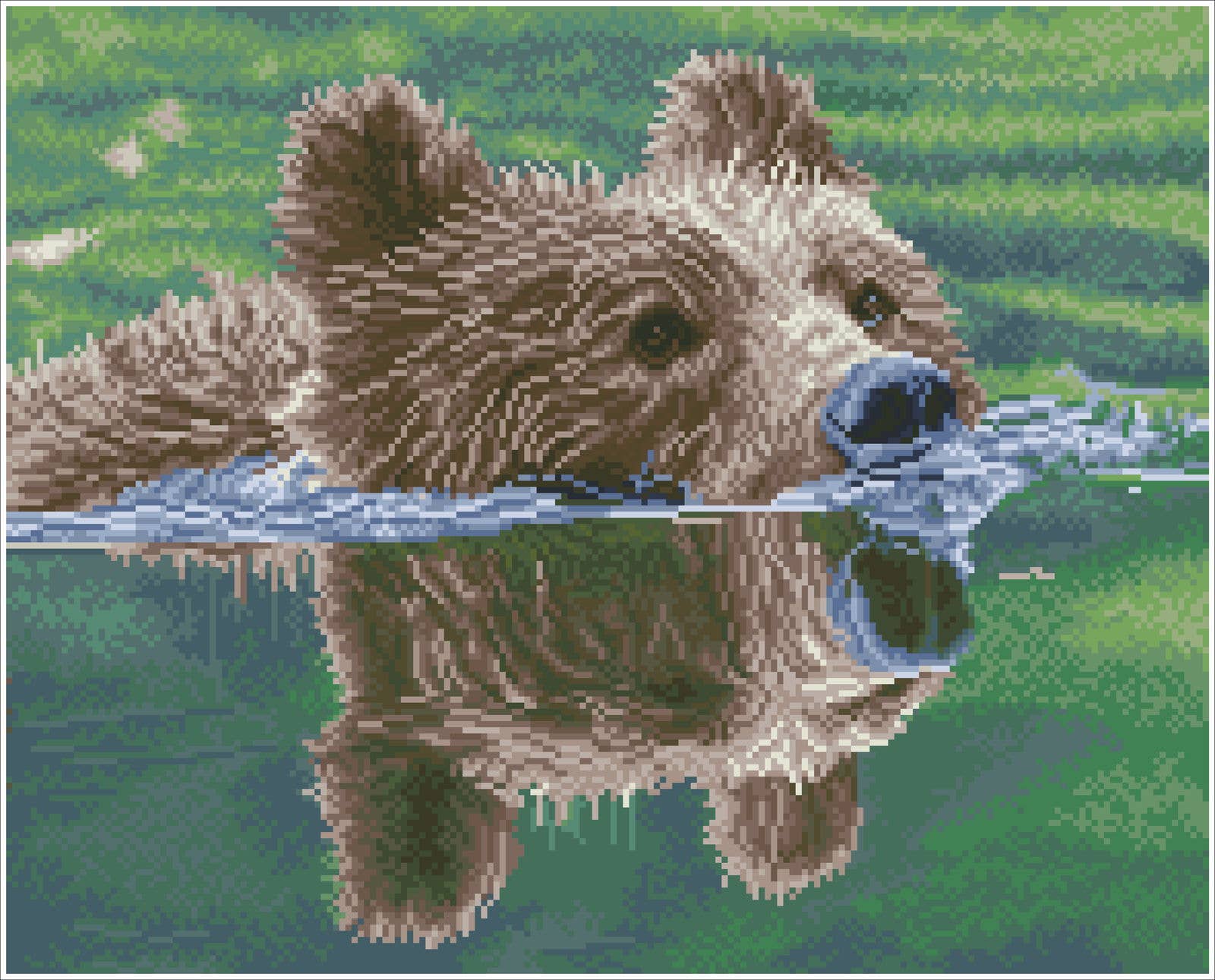 Grizzly Swim (Square)