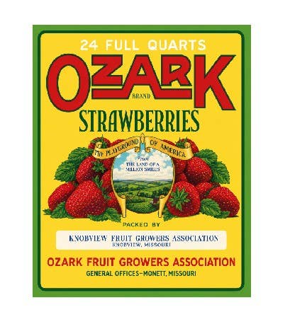 Vintage Style Ozark Strawberries Metal Wall Sign MS128