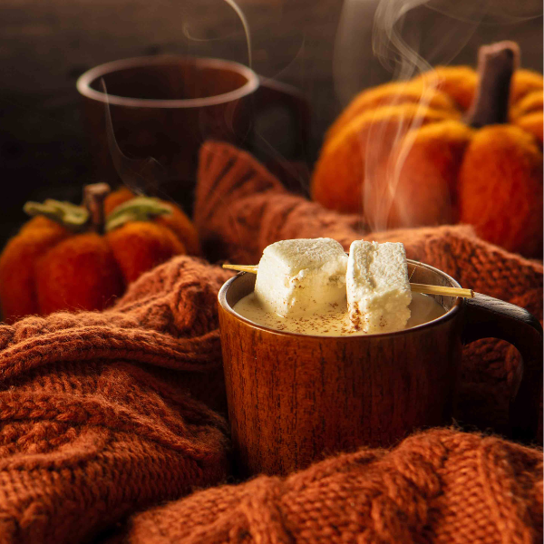 Wind & Willow Hot Cocoa Mix - Individual Package