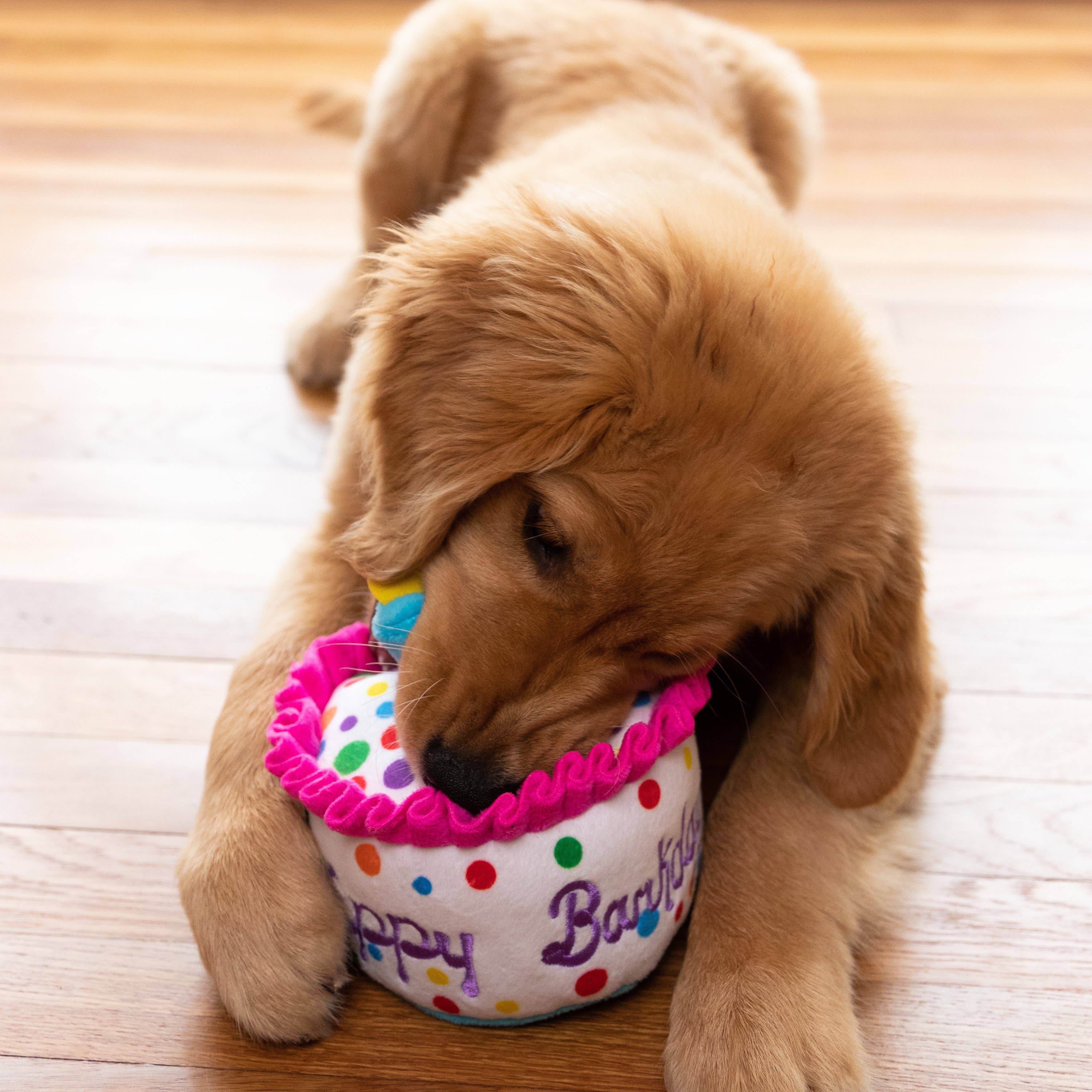 7504. Happy Barkday Cake Dog Toy