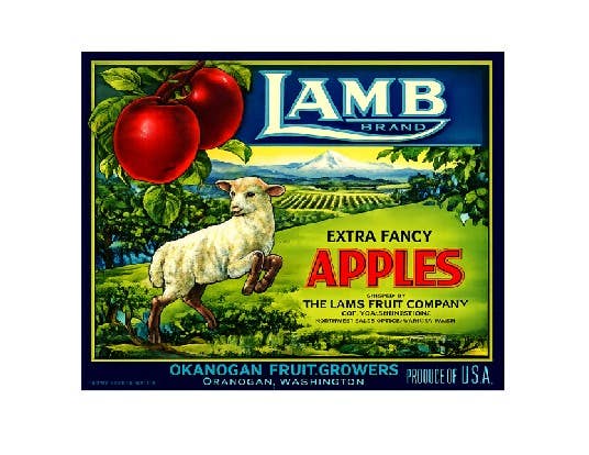 MS143 Vintage Style Metal Wall Sign - Extra Fancy Apples