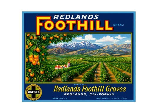 MS97 Vintage Crate Label Metal Wall Decor Orange Groves