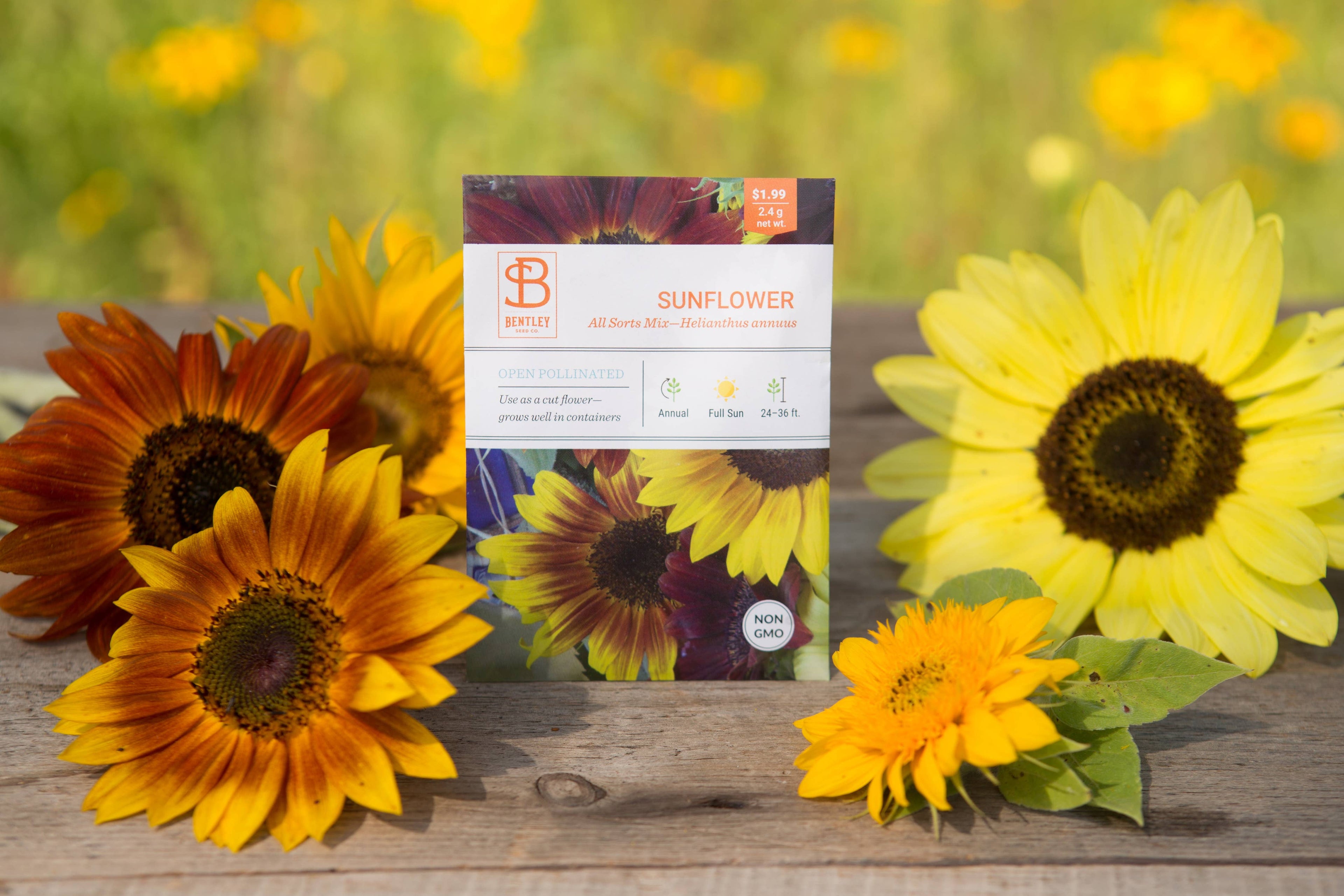 2210. Sunflower, All Sorts Mix Seed Packets