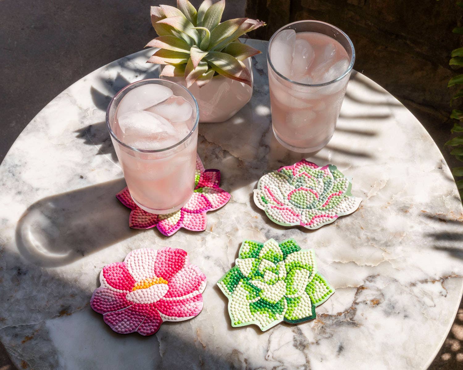 Coasters - Succulents